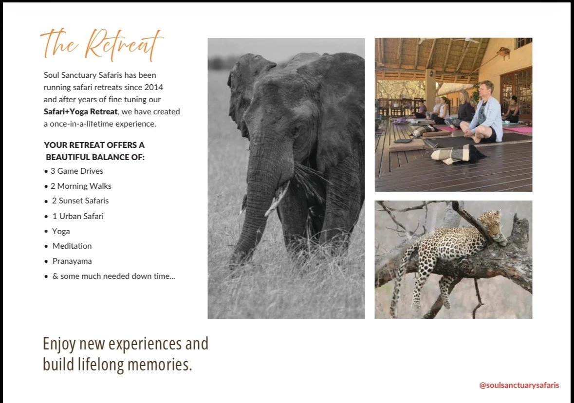 A promotional flyer for Soul Sanctuary Safaris showcasing their safari and yoga retreat experiences, including images of an elephant, people practicing yoga, and a leopard in a tree.
