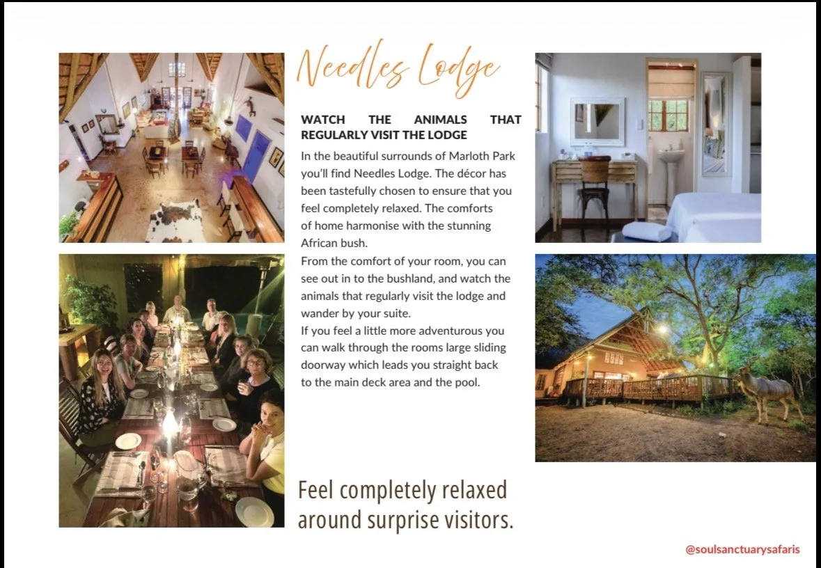 Pamphlet for Needles Lodge with interior and exterior photos, showing a spacious lodge interior, a dining group, a bedroom, and a lodge exterior surrounded by trees at night.
