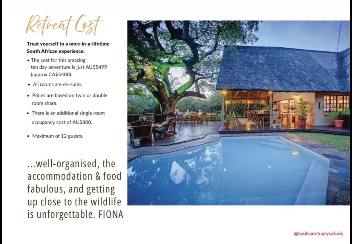 Promotional flyer for a South African retreat experience, featuring a large tree, a swimming pool, and an outdoor dining area at sunset.