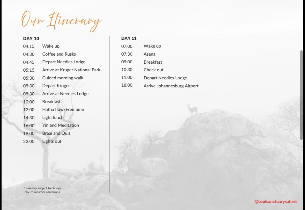 A detailed travel itinerary for a trip, outlining activities from day 10 to day 11, including wake-up times, meals, departures, and arrivals at various locations, with a background image of a deer on a hilltop against a landscape with trees.