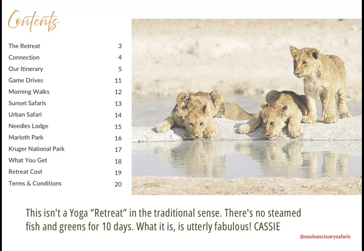 Three lion cubs and one adult lion resting at a waterhole in a desert-like environment.