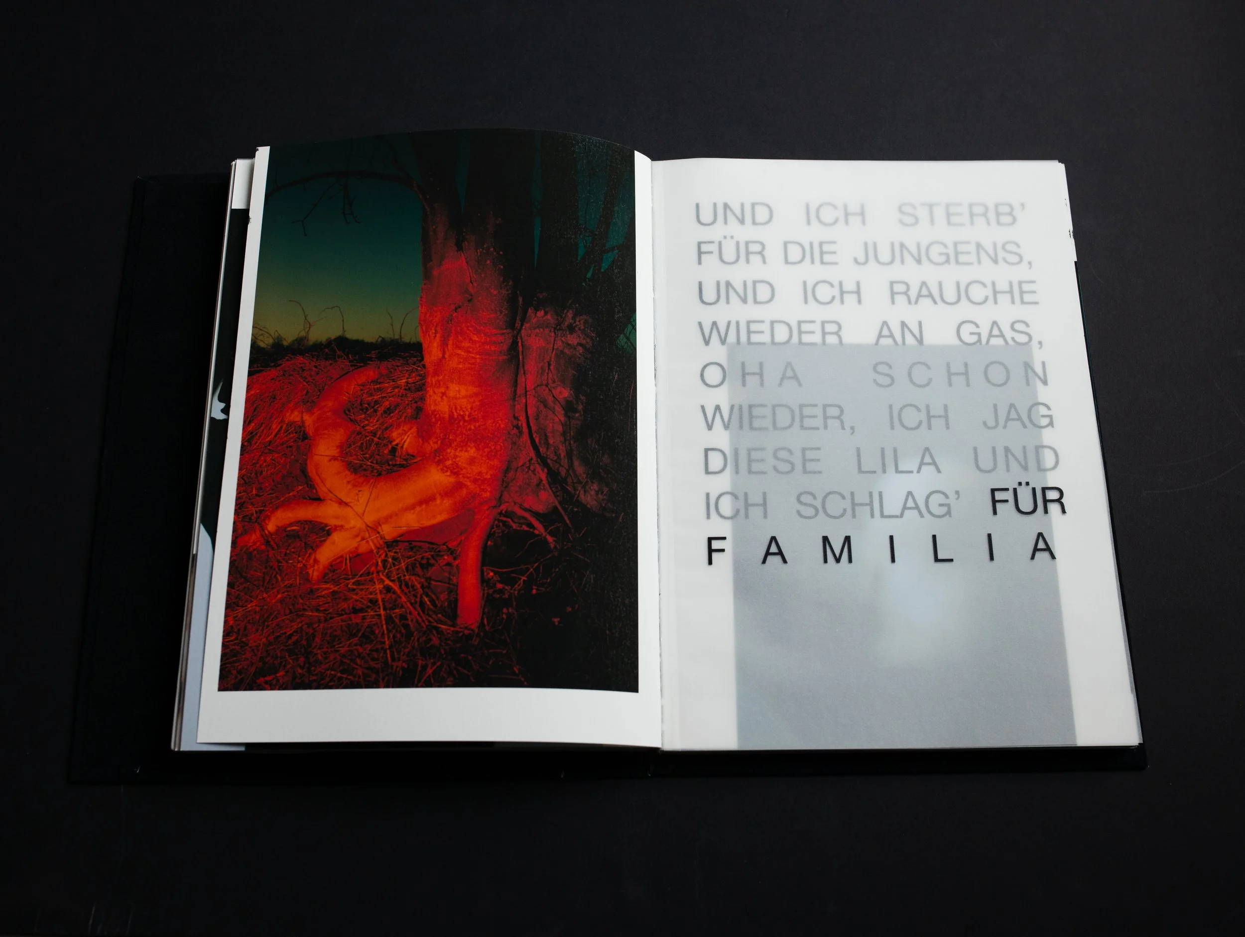 SophiaHegewald_Goldjungen_Fotobuch2024033049554.jpg