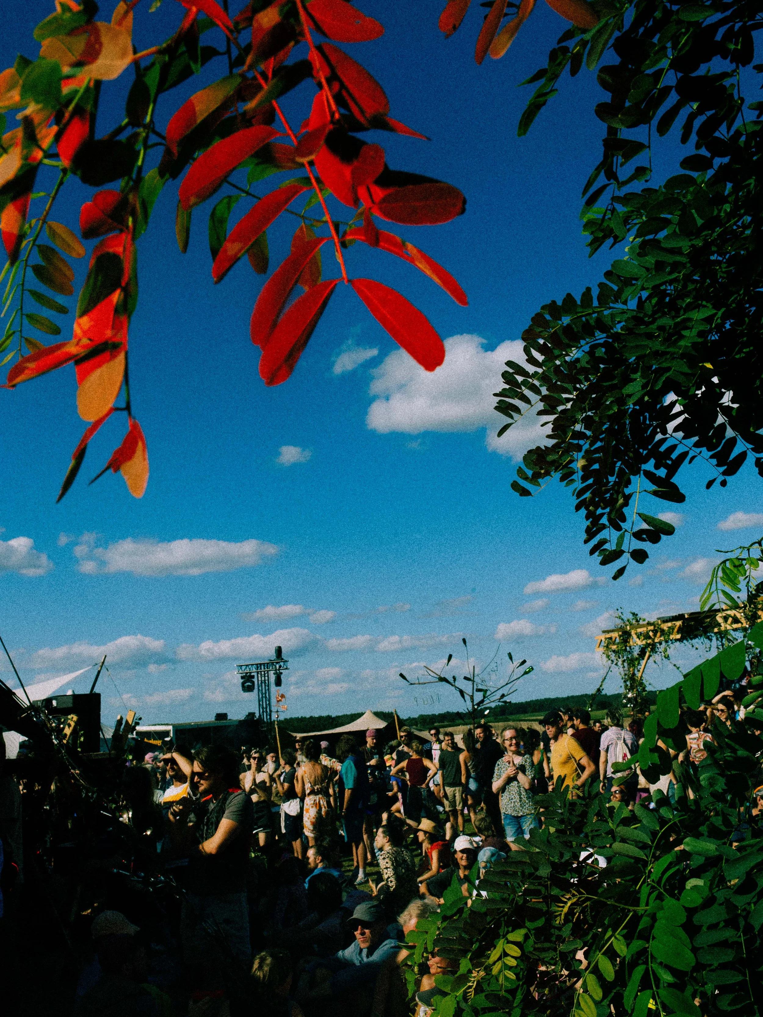 SophiaHegewald_DetectClassicFestival202520250810180721.jpg