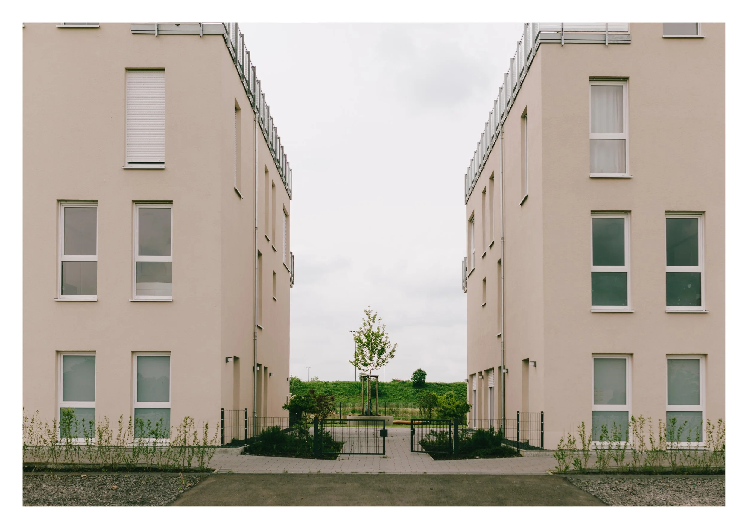 Layouts Indesign, Demenz WG2.jpg