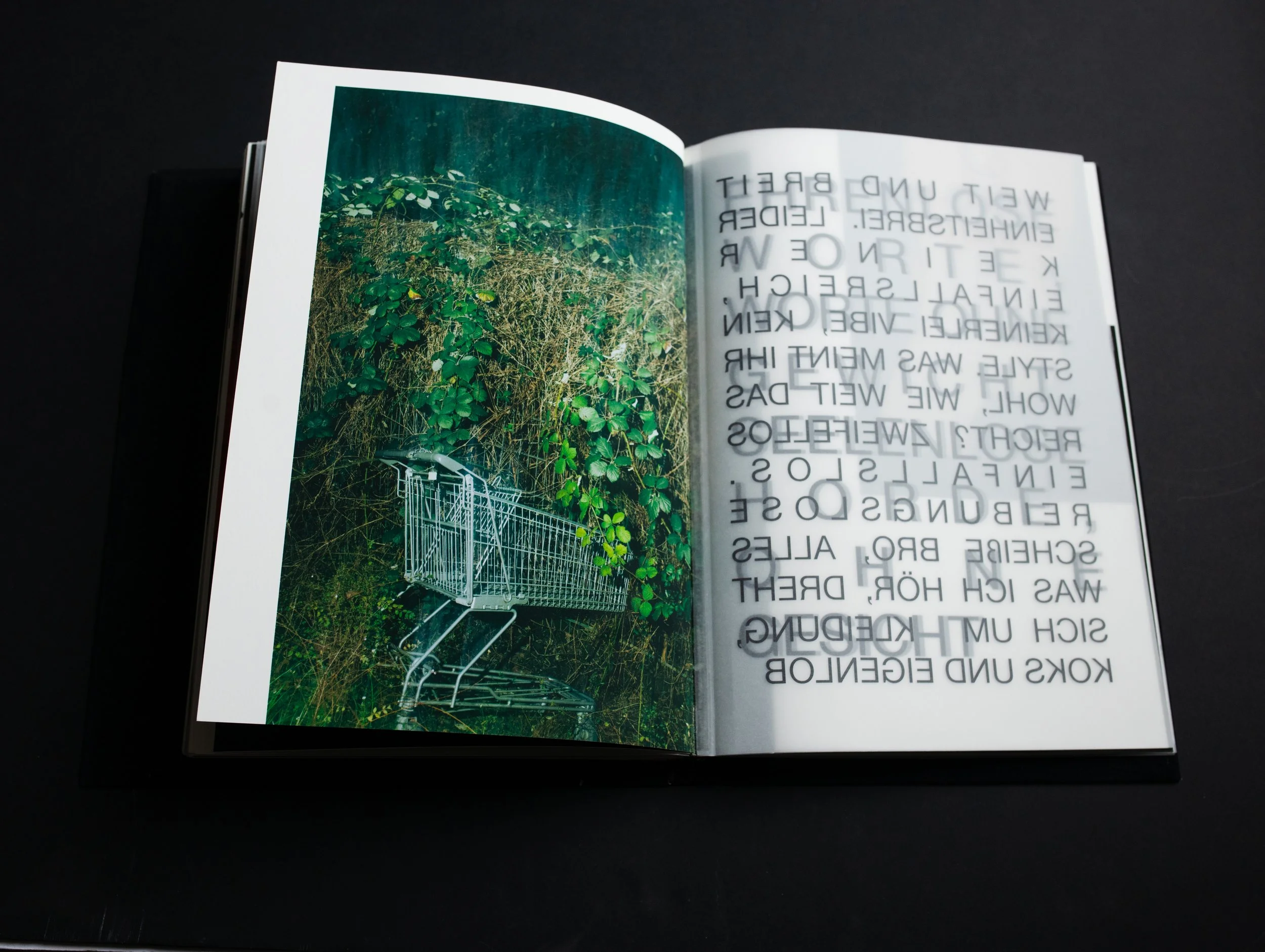 SophiaHegewald_Goldjungen_Fotobuch2024033049587.jpg