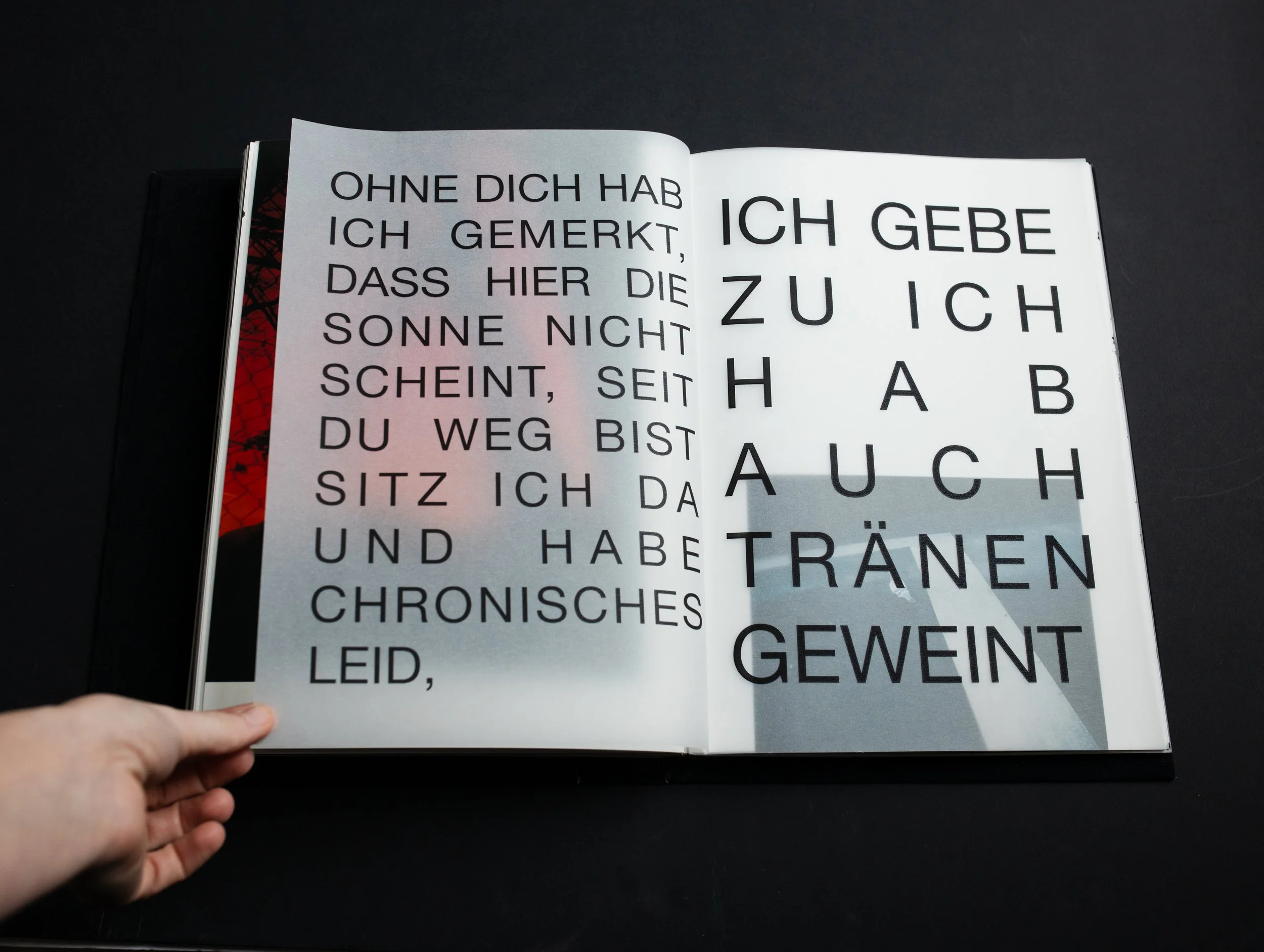 SophiaHegewald_Goldjungen_Fotobuch2024033049582.jpg