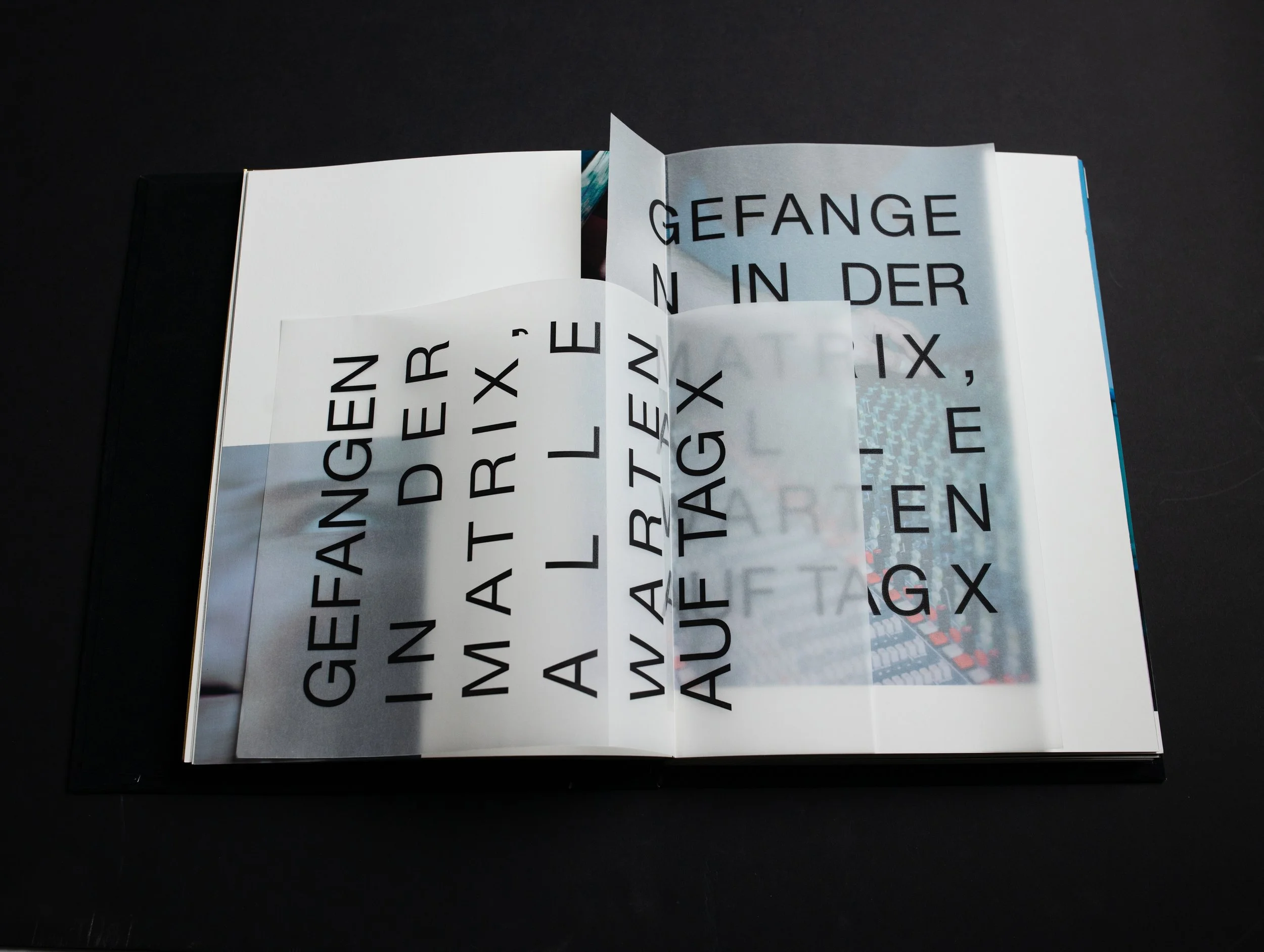 SophiaHegewald_Goldjungen_Fotobuch2024033049538.jpg