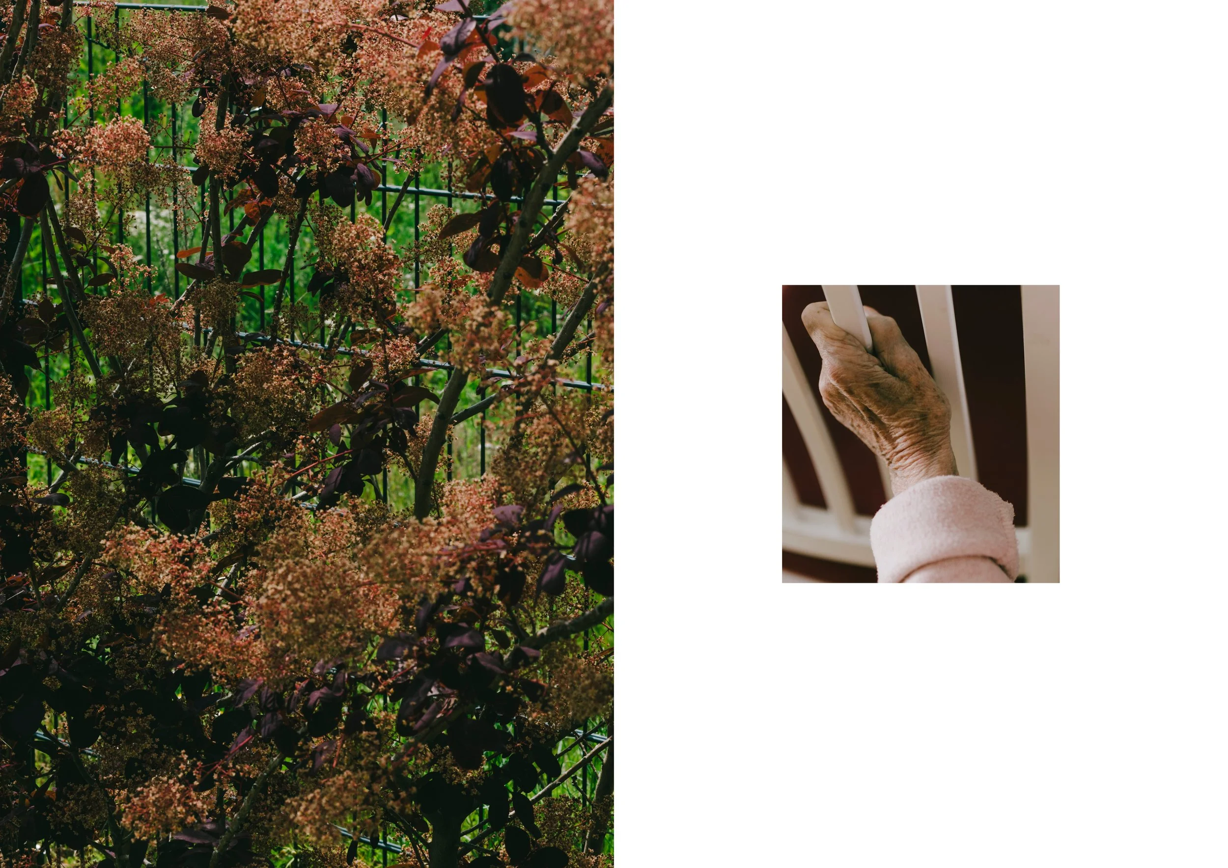 Layouts Indesign, Demenz WG12.jpg