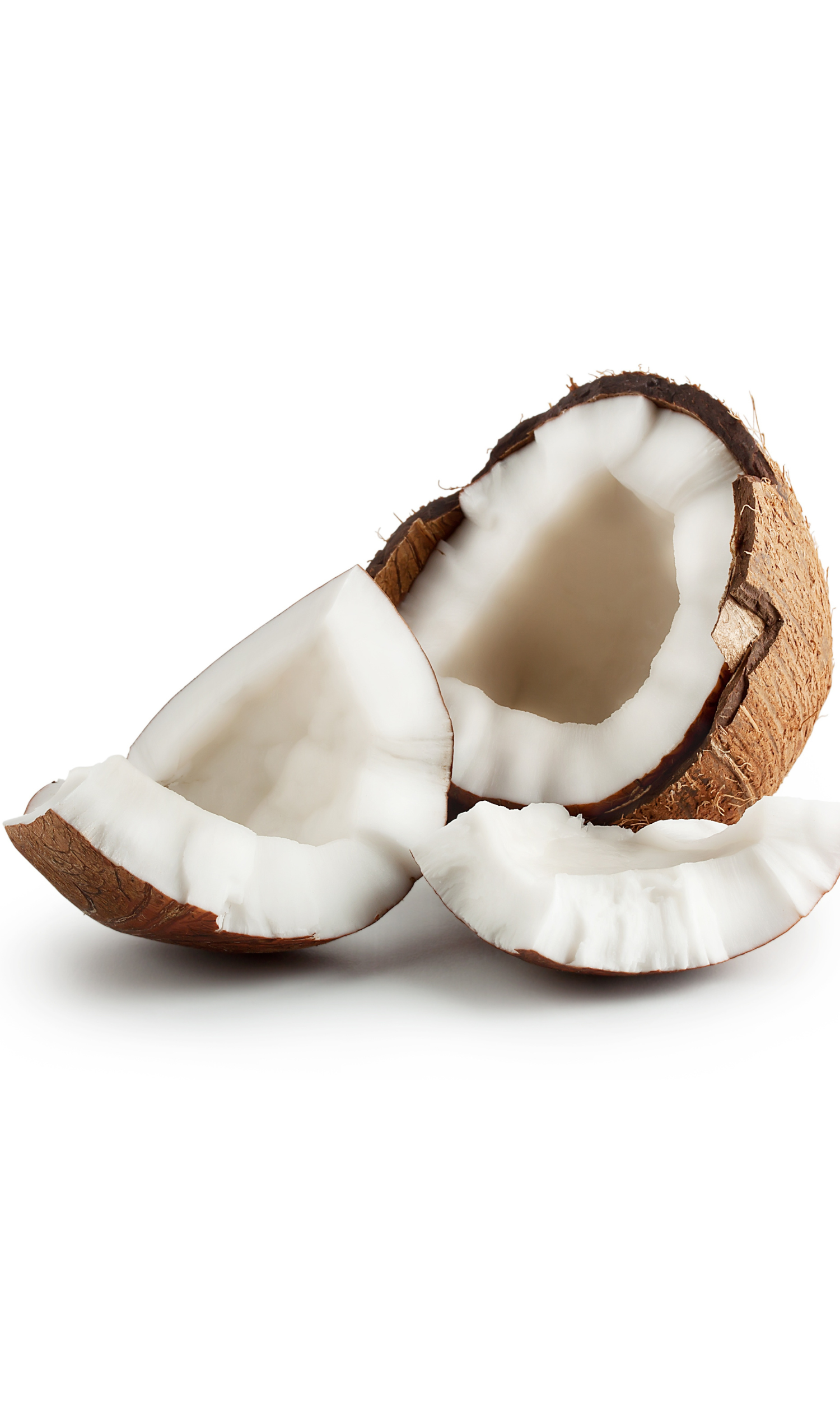 CoconutFizz Bath Milk - 1.png