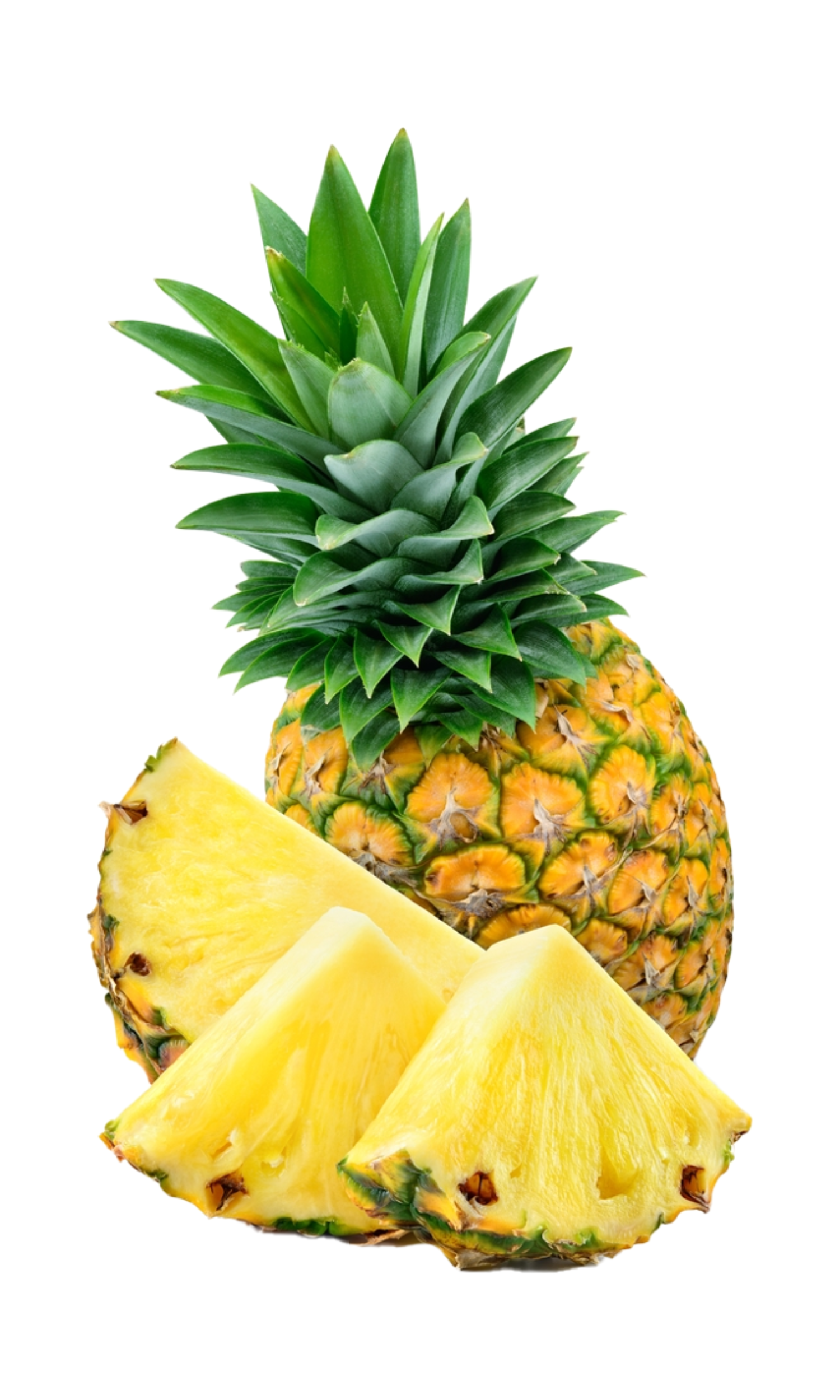 CoconutFizz Bath Milk - 11.png