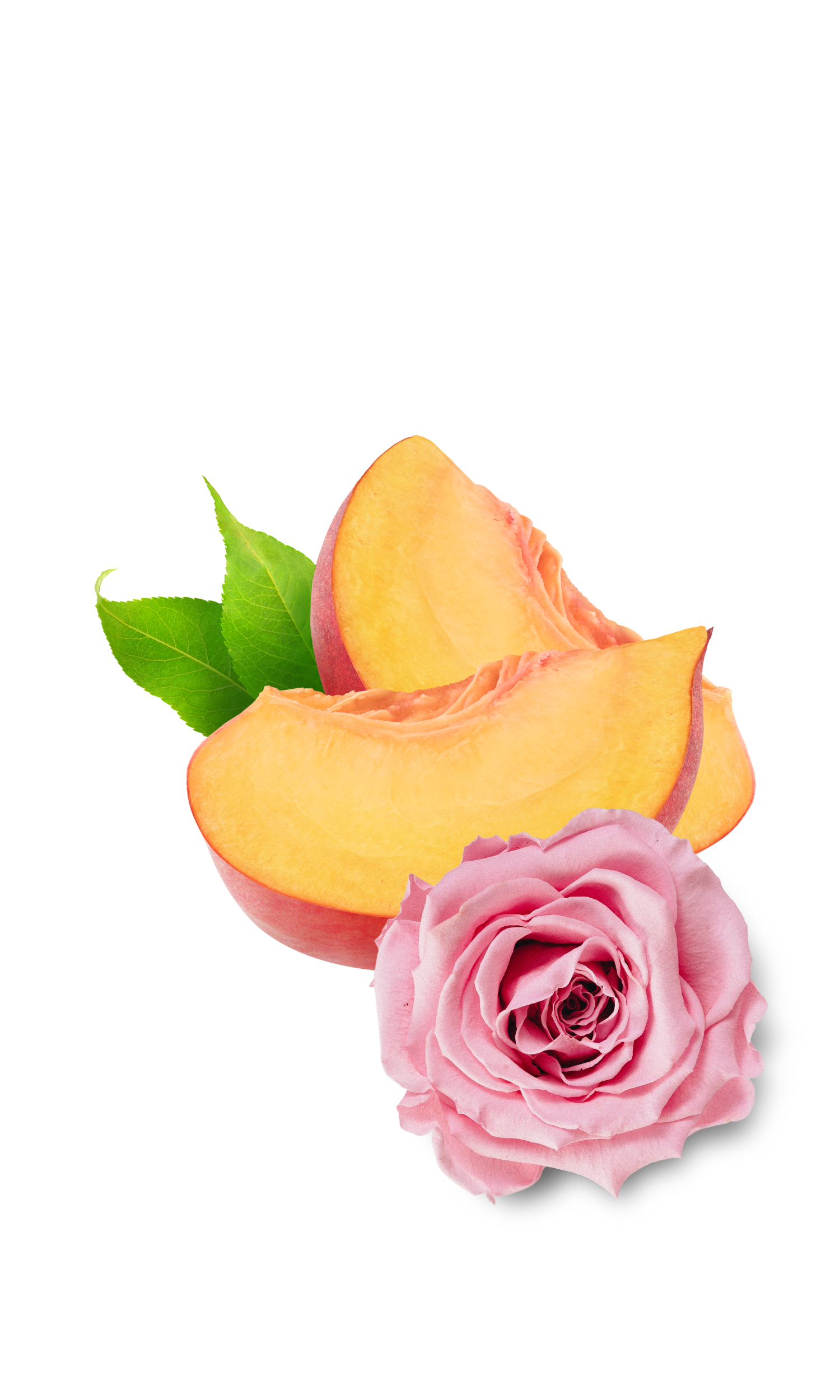 CoconutFizz Bath Milk - 12.png