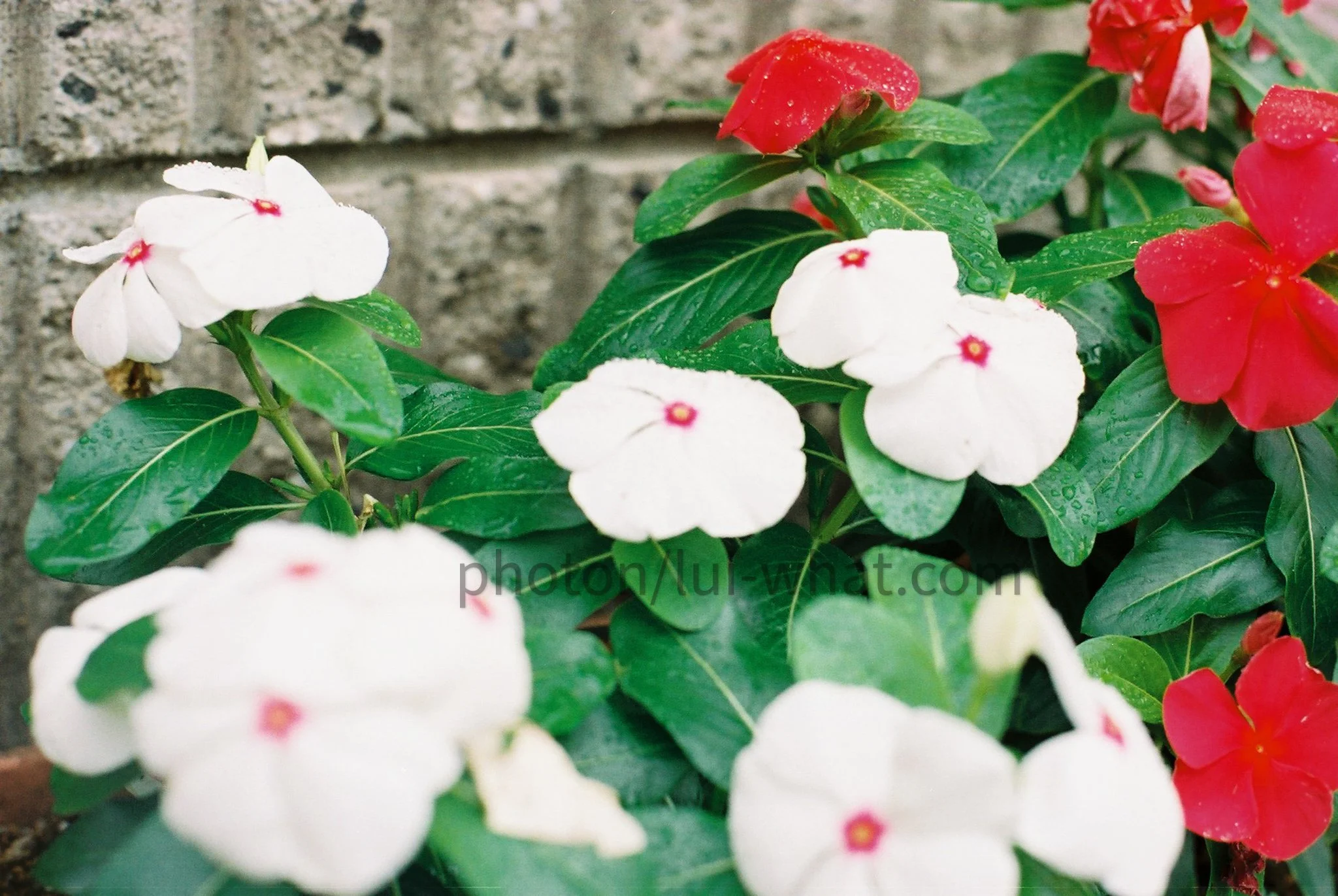 FH000005 上午10.26.55.jpg