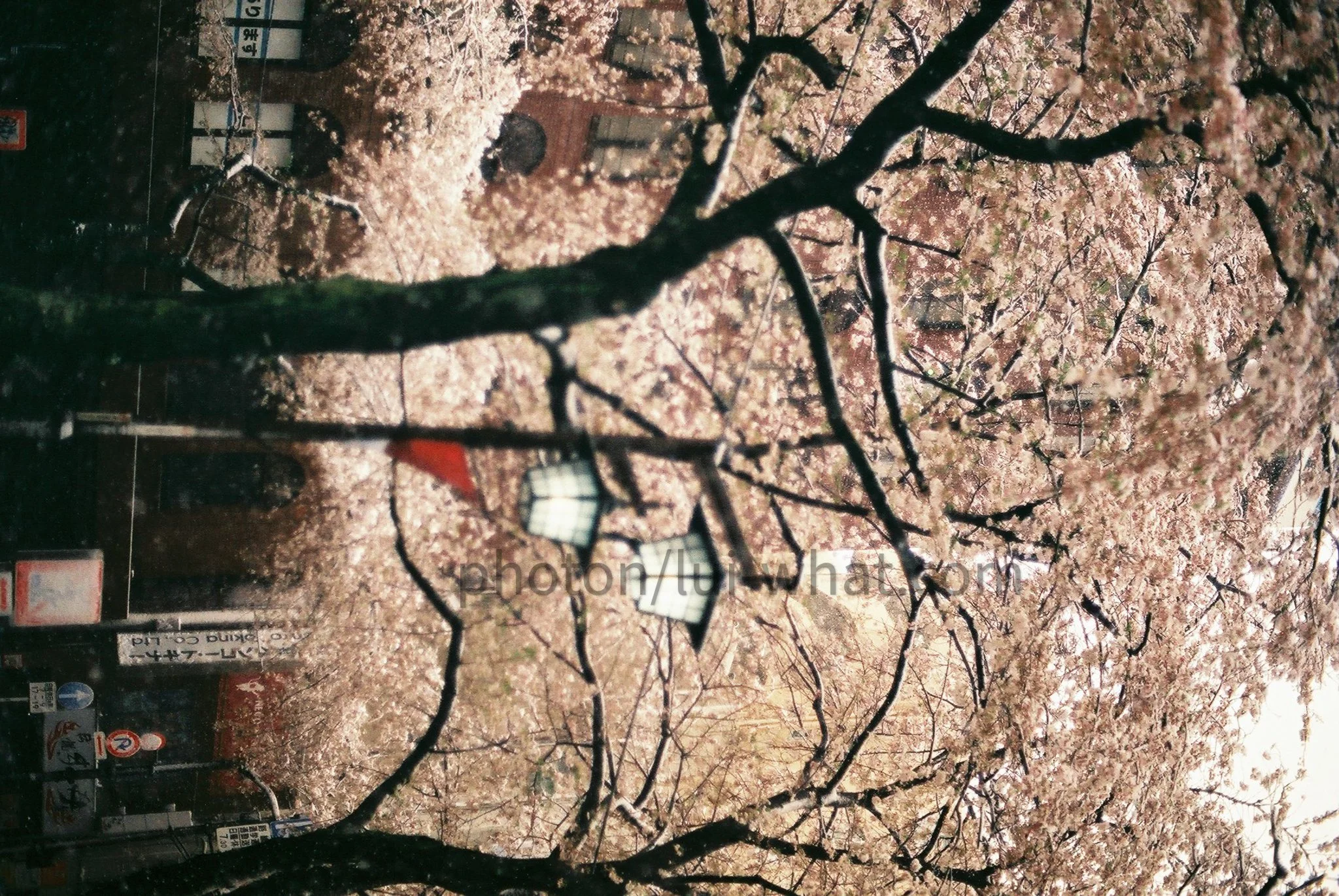 FH000010.jpg