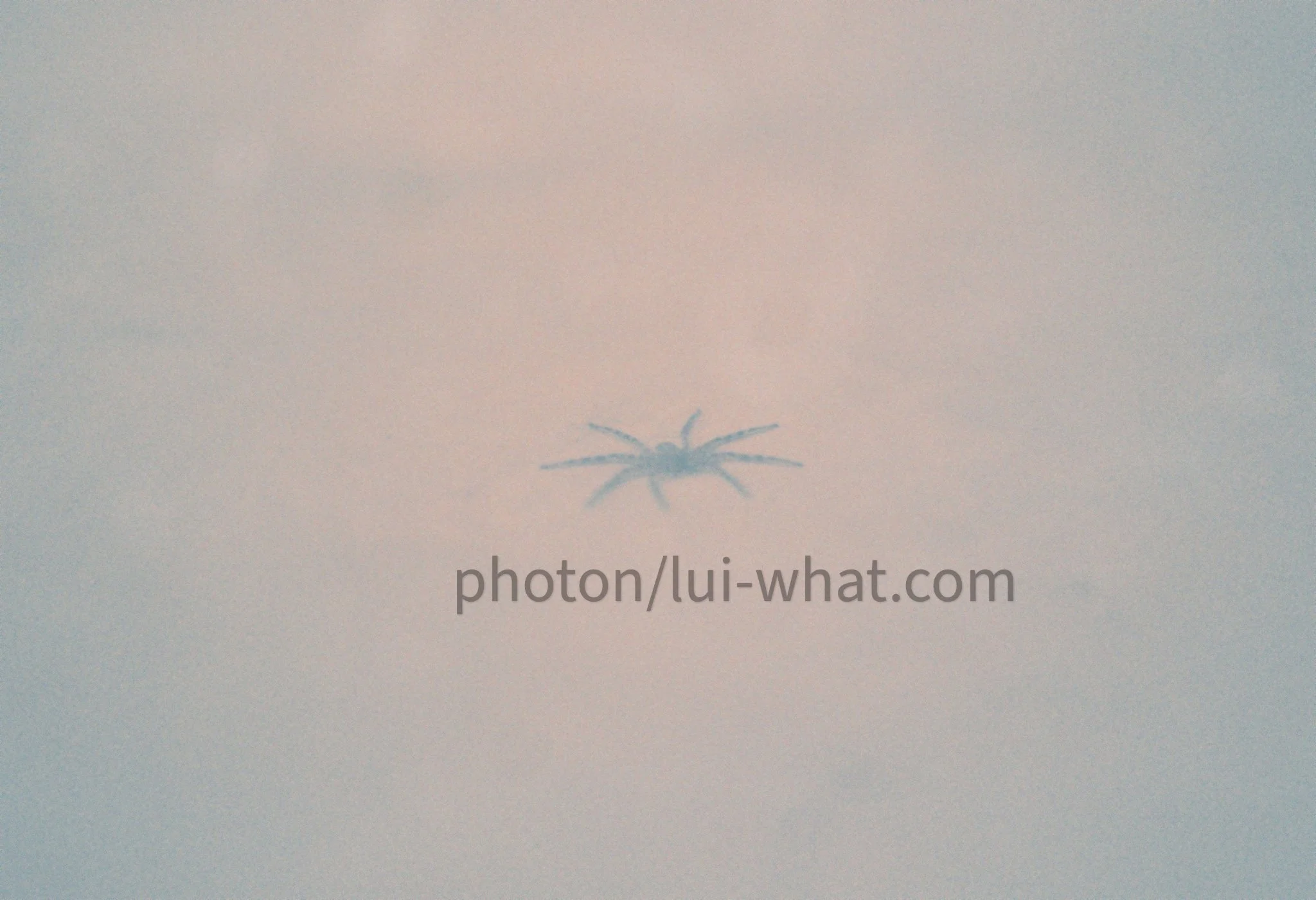 000033 上午10.27.00.jpg