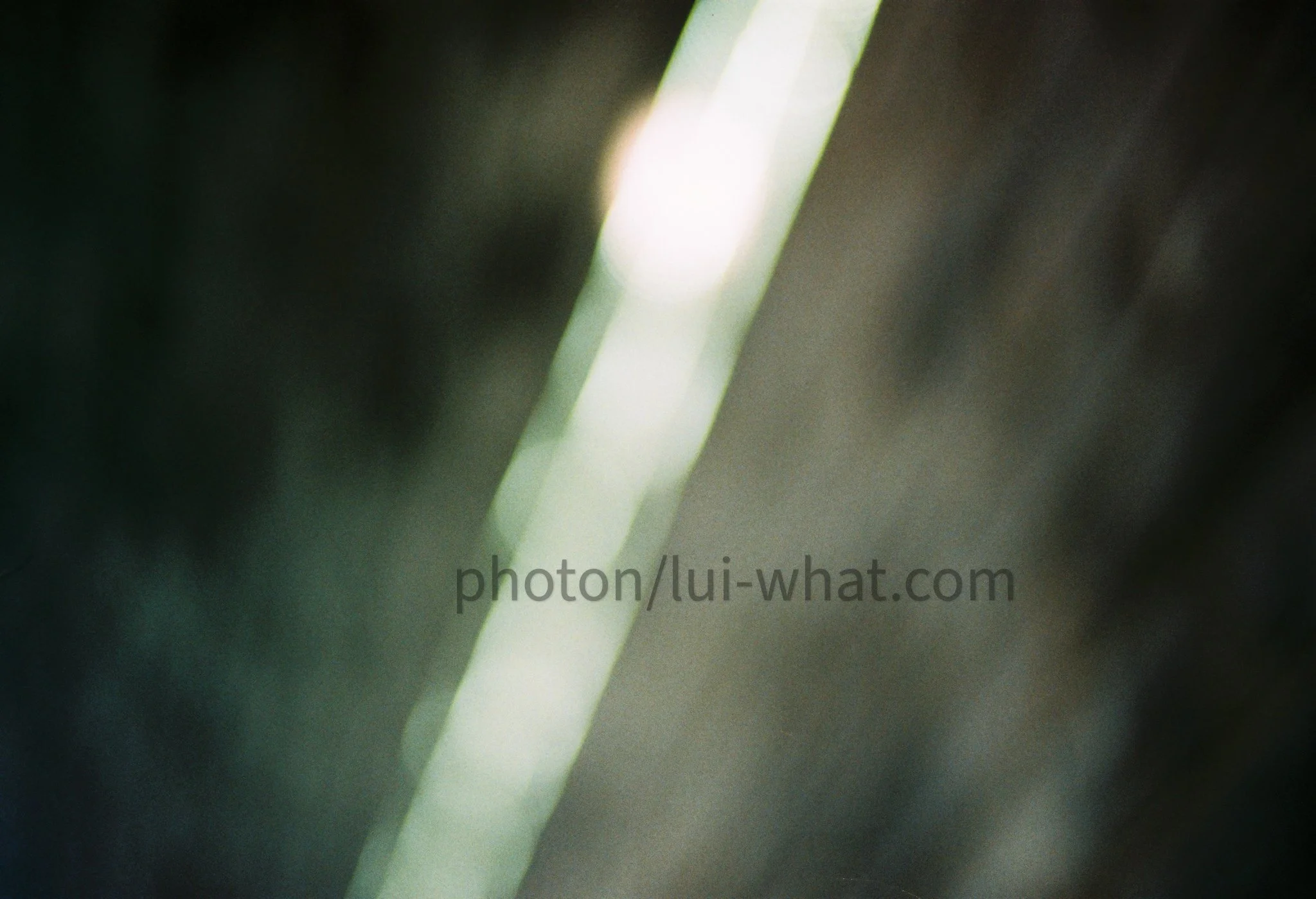 000004 上午10.26.59.jpg