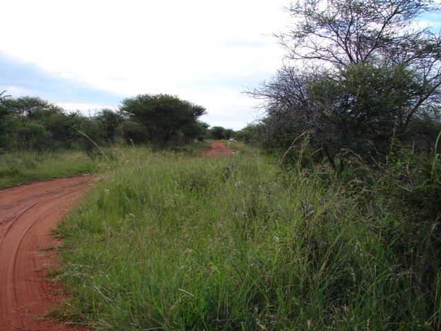 DSC02064c.jpg