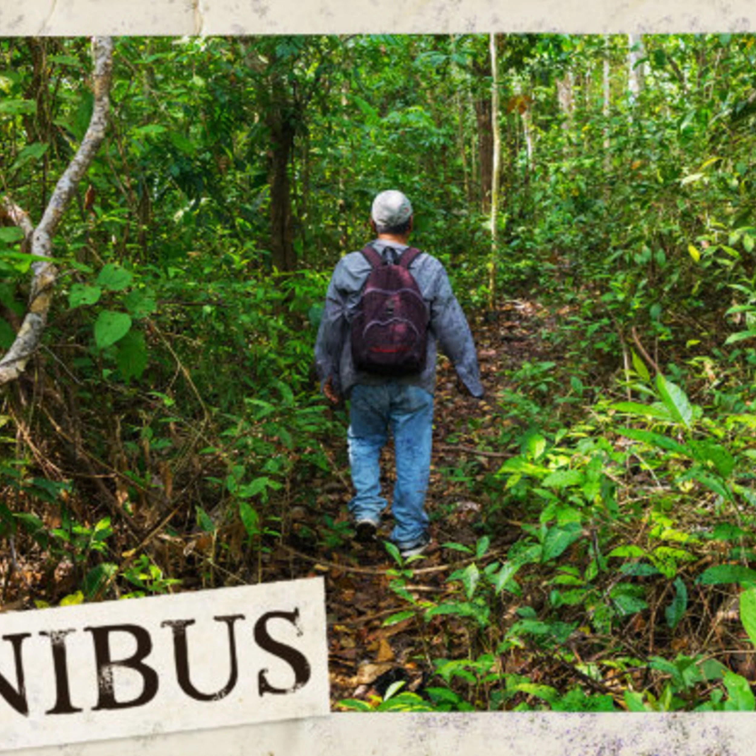 The Darien Gap (Entry 315.EZ3328)