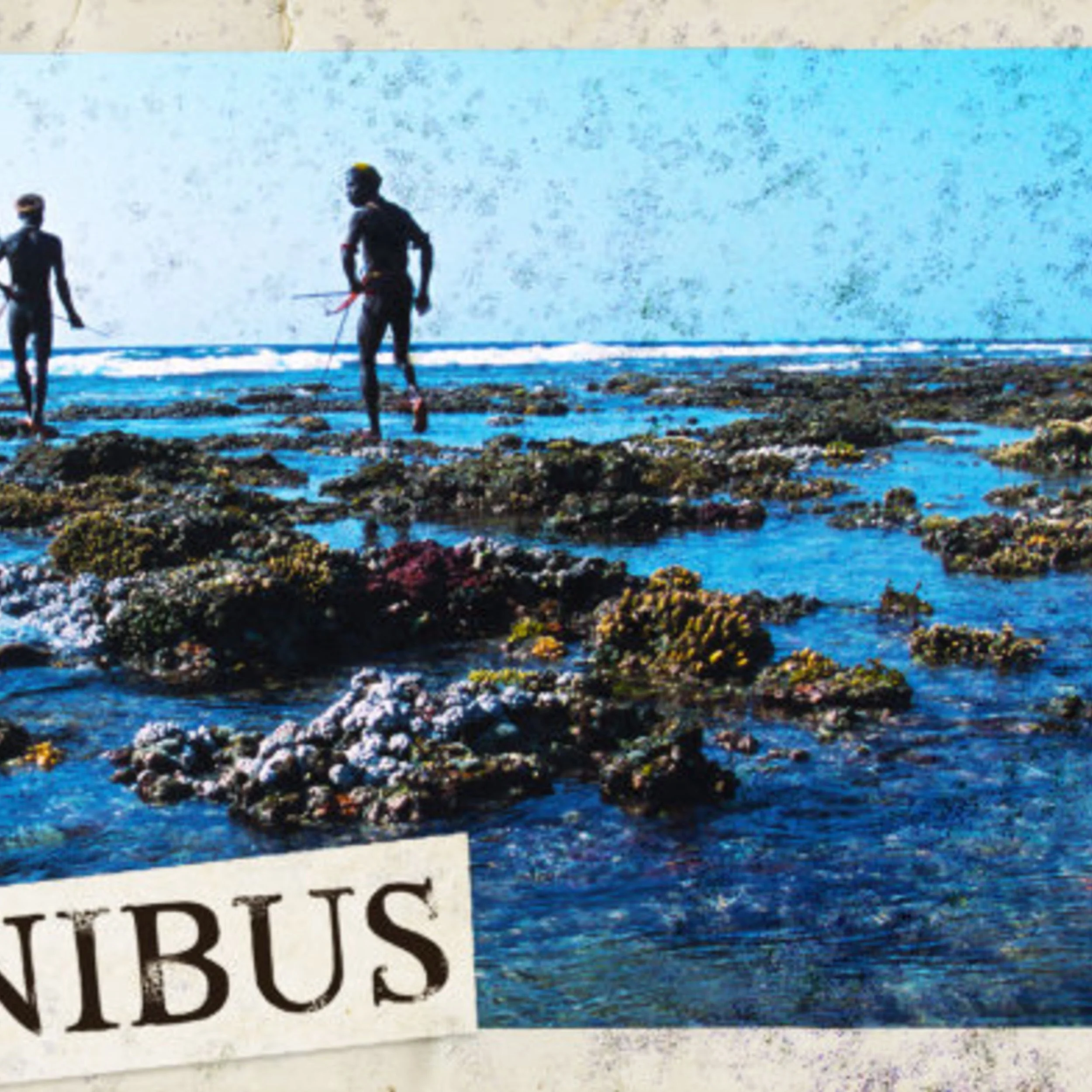 The Sentinelese (Entry 1134.LV2024)