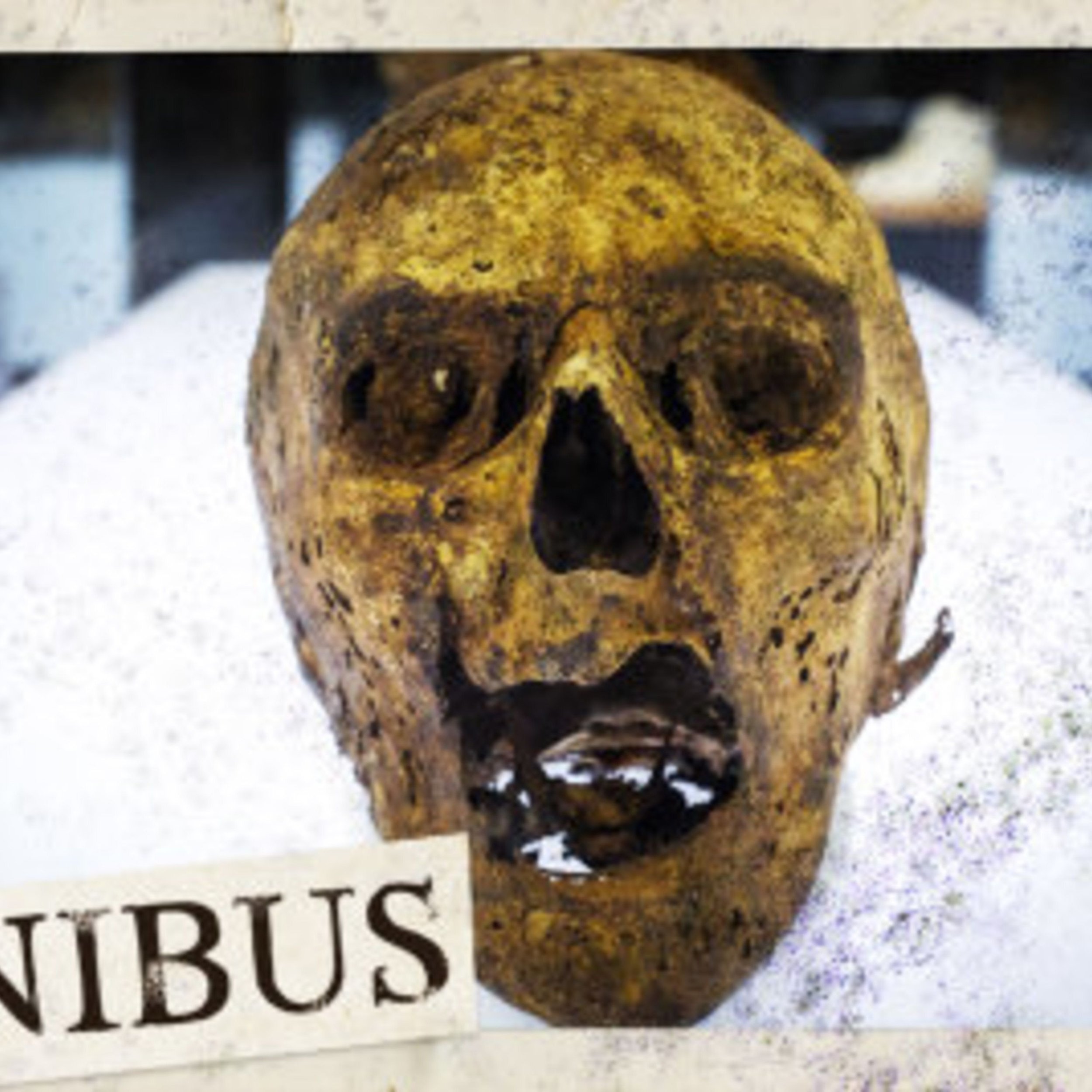 Mummy Brown (Entry 817.PR0716)