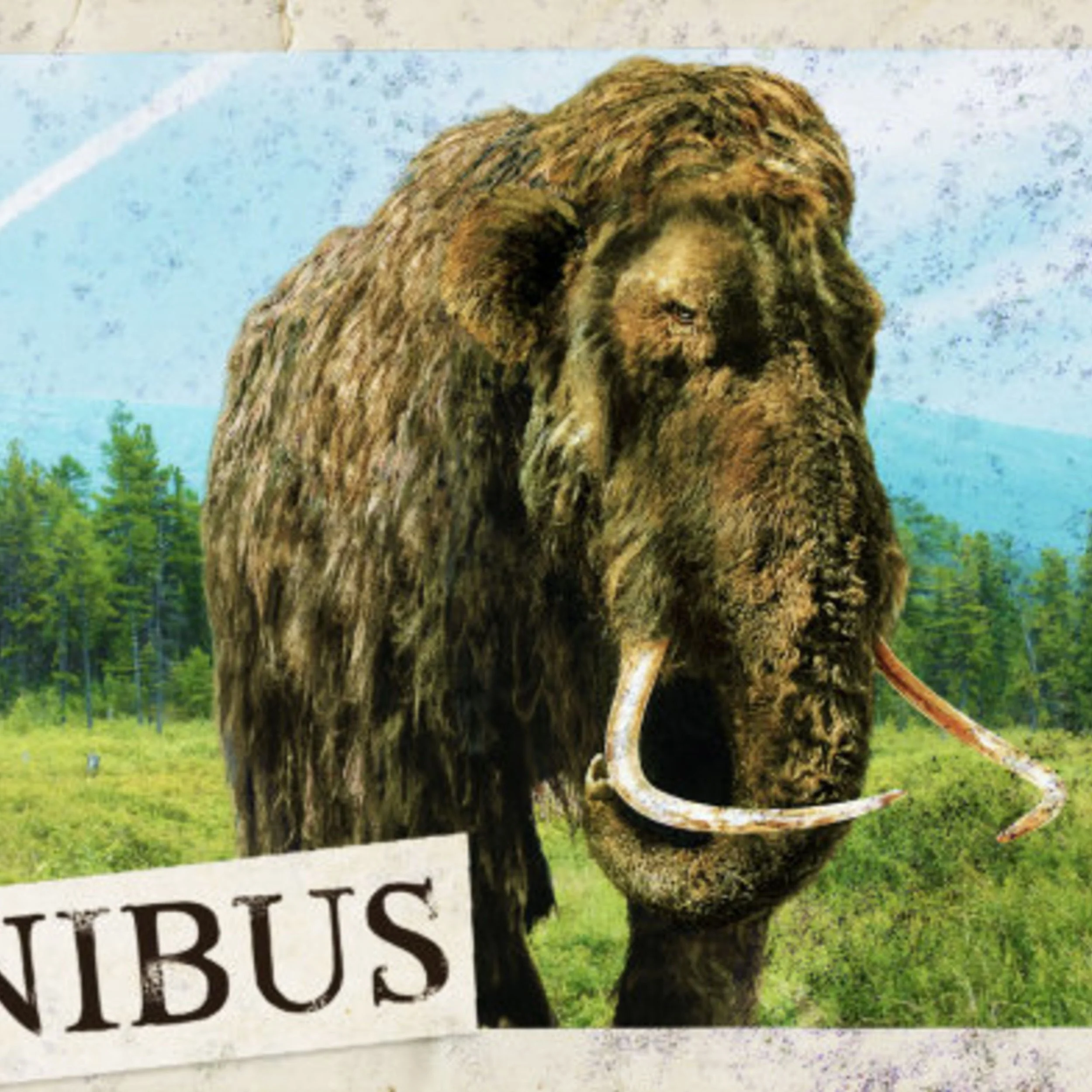 Megafauna (Entry 772.JB4015)