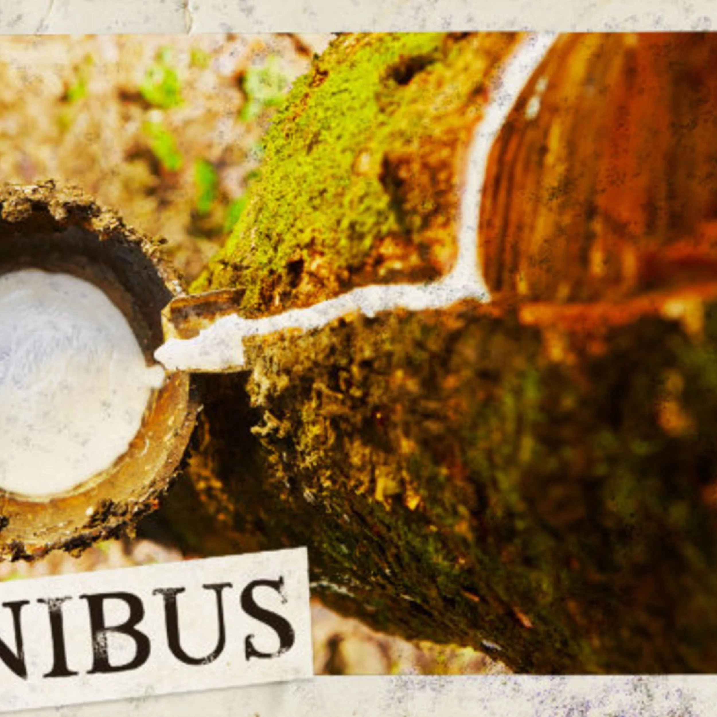 Rubber Barons (Entry 1087.EZ1613)