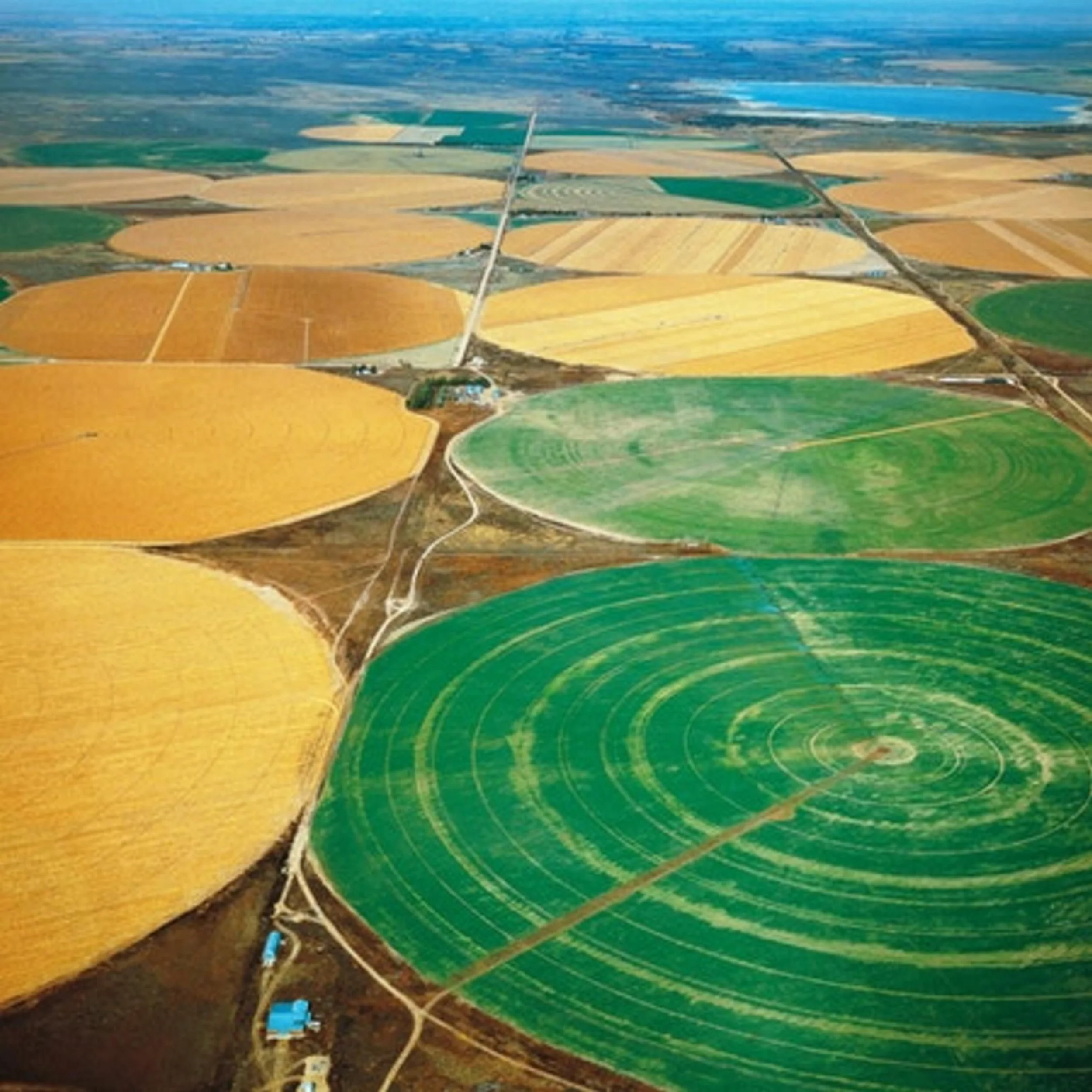 Checkerboarding (Entry 210.NU2653)