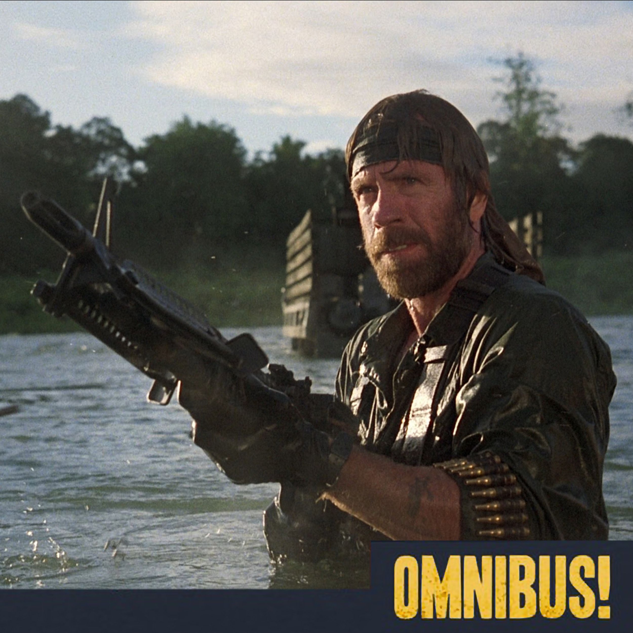  Missing in Action (Entry 795.2CH2811)