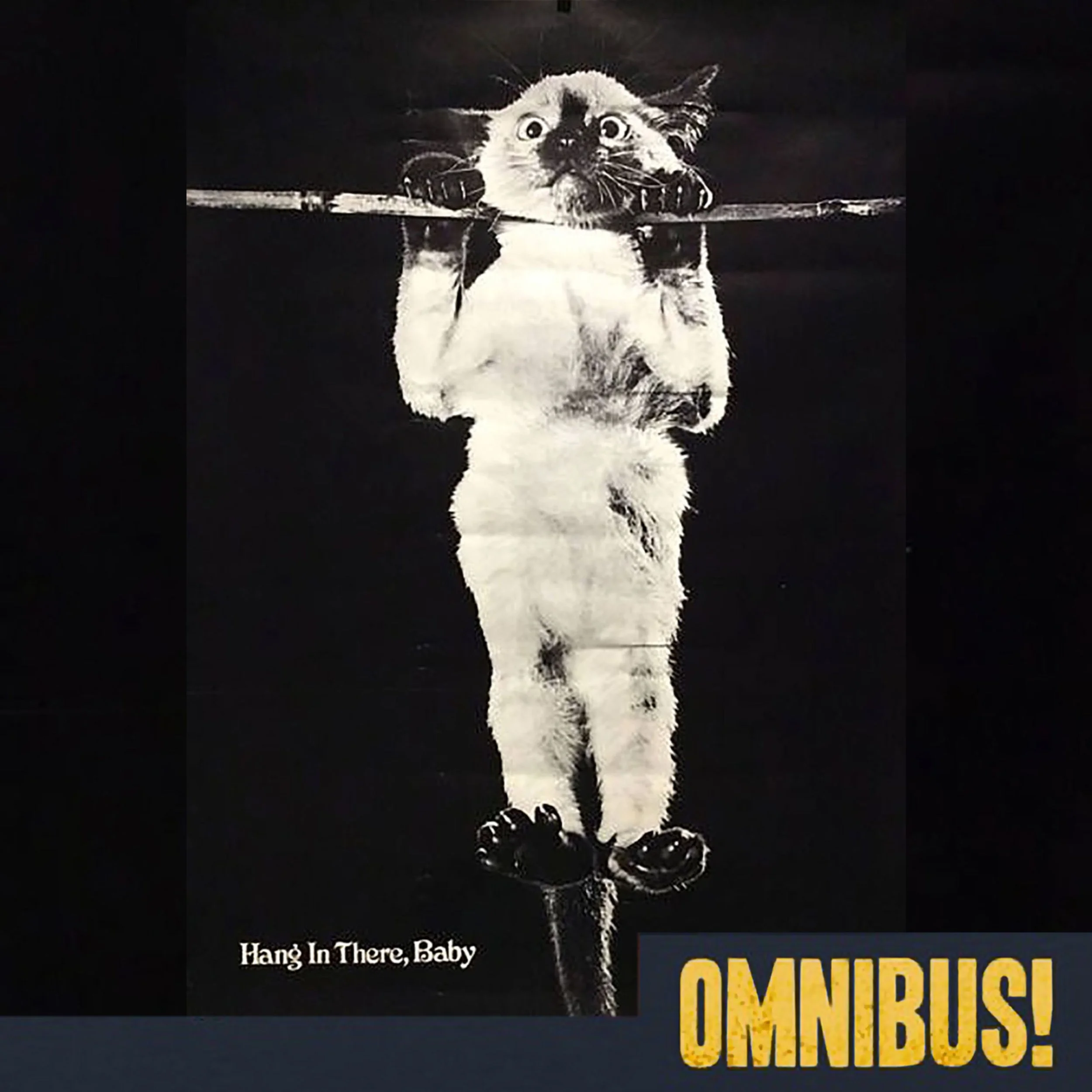 Hang In There, Baby (Entry 566.MT2413)