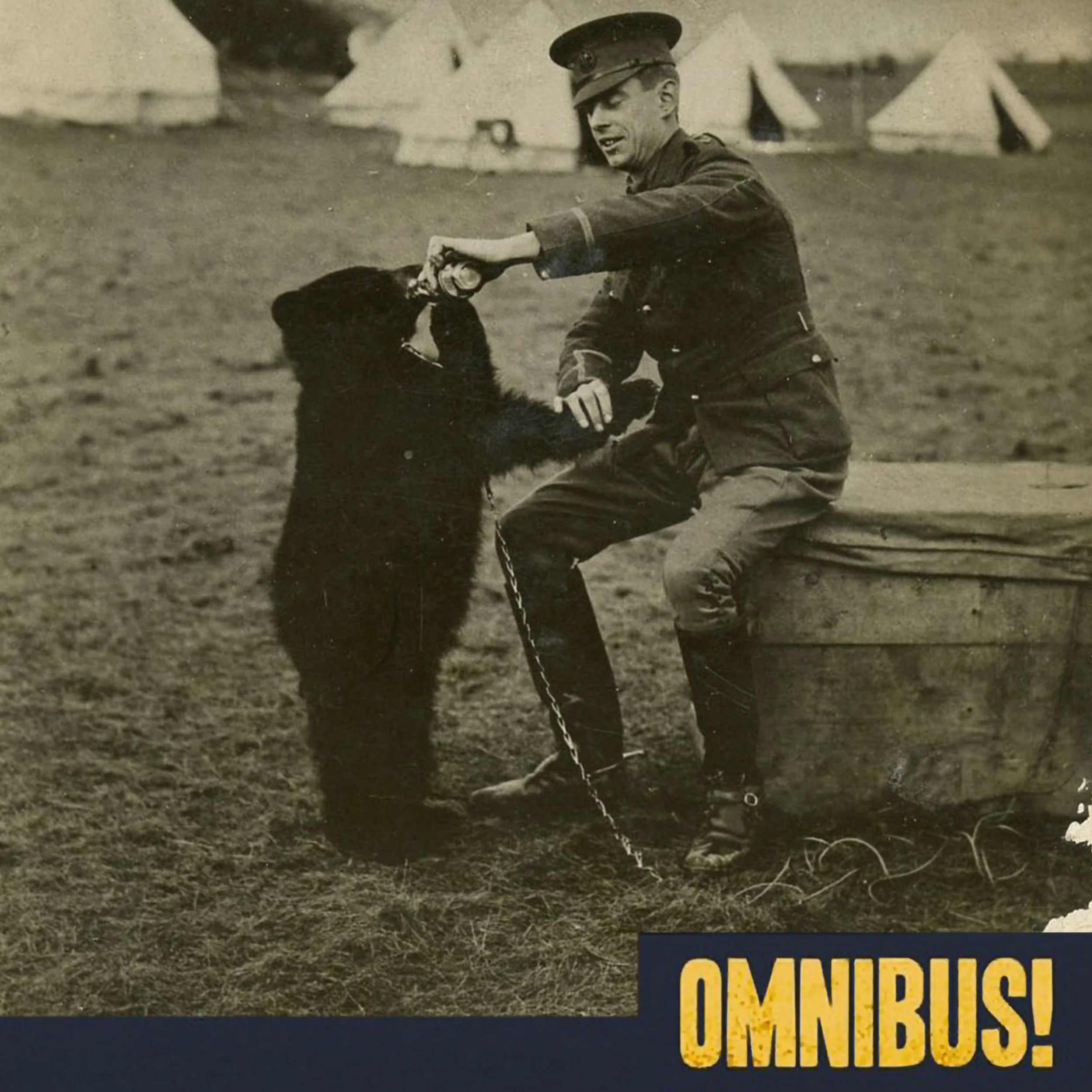 Winnipeg the Bear (Entry 1436.PR1712)