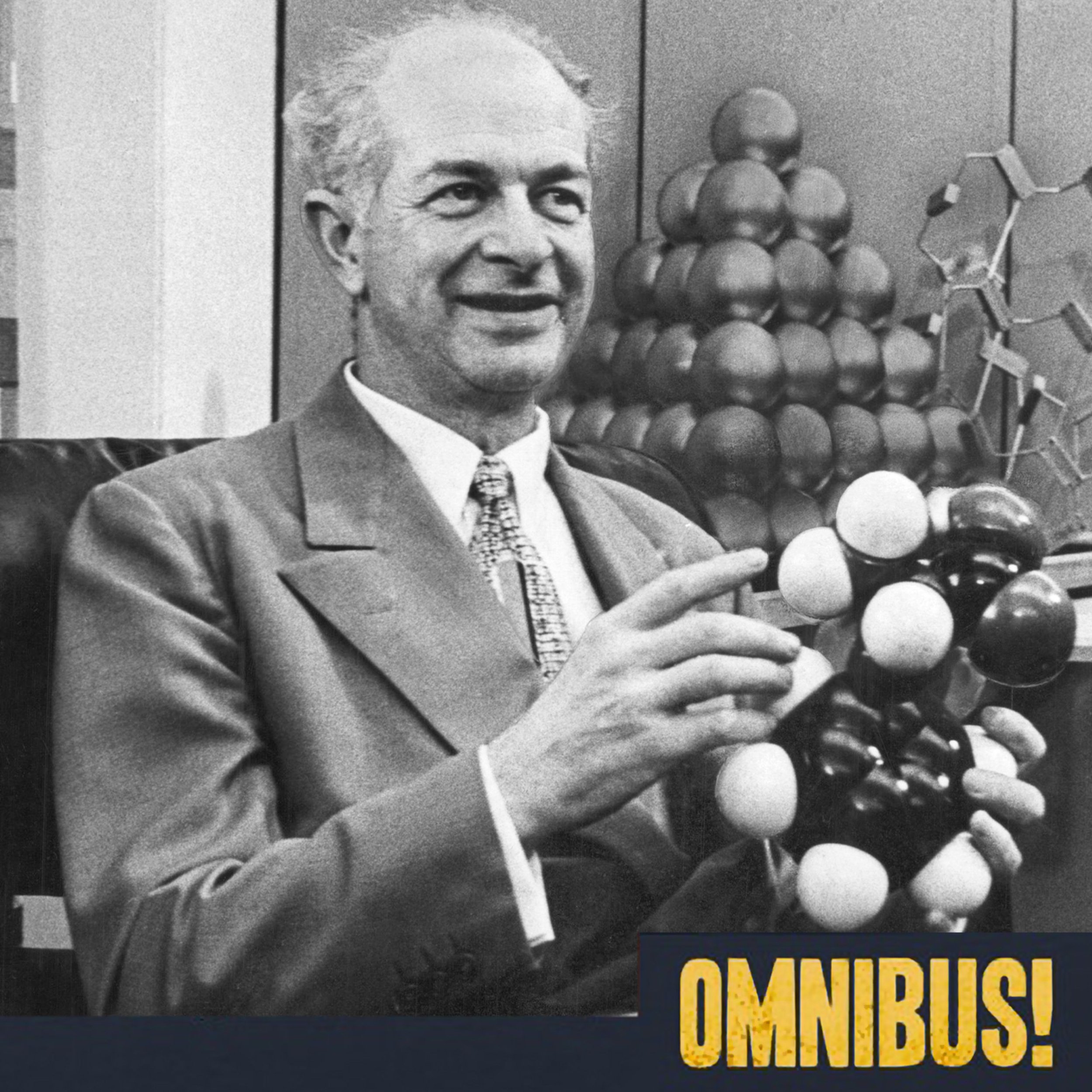  The Megavitamin Craze (Entry 772.PR2516)