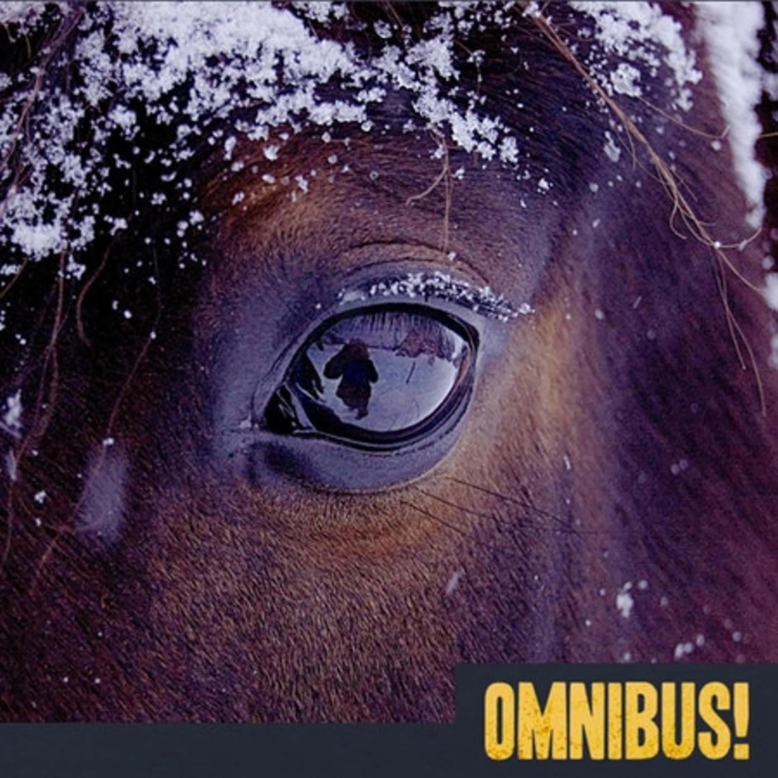 Inversion Goggles (Entry 659.IS2916)