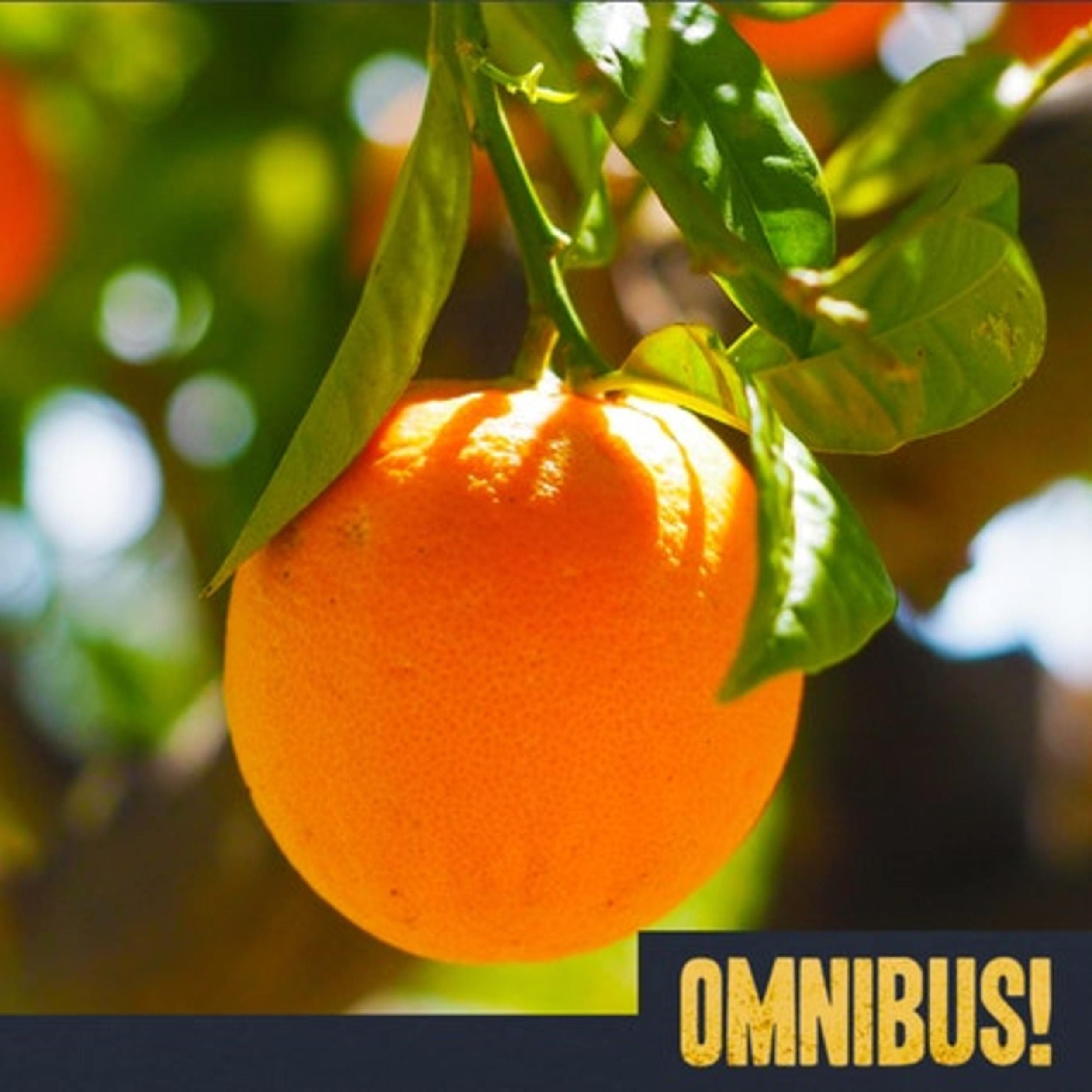 Anita Bryant (Entry 159.PR0913)