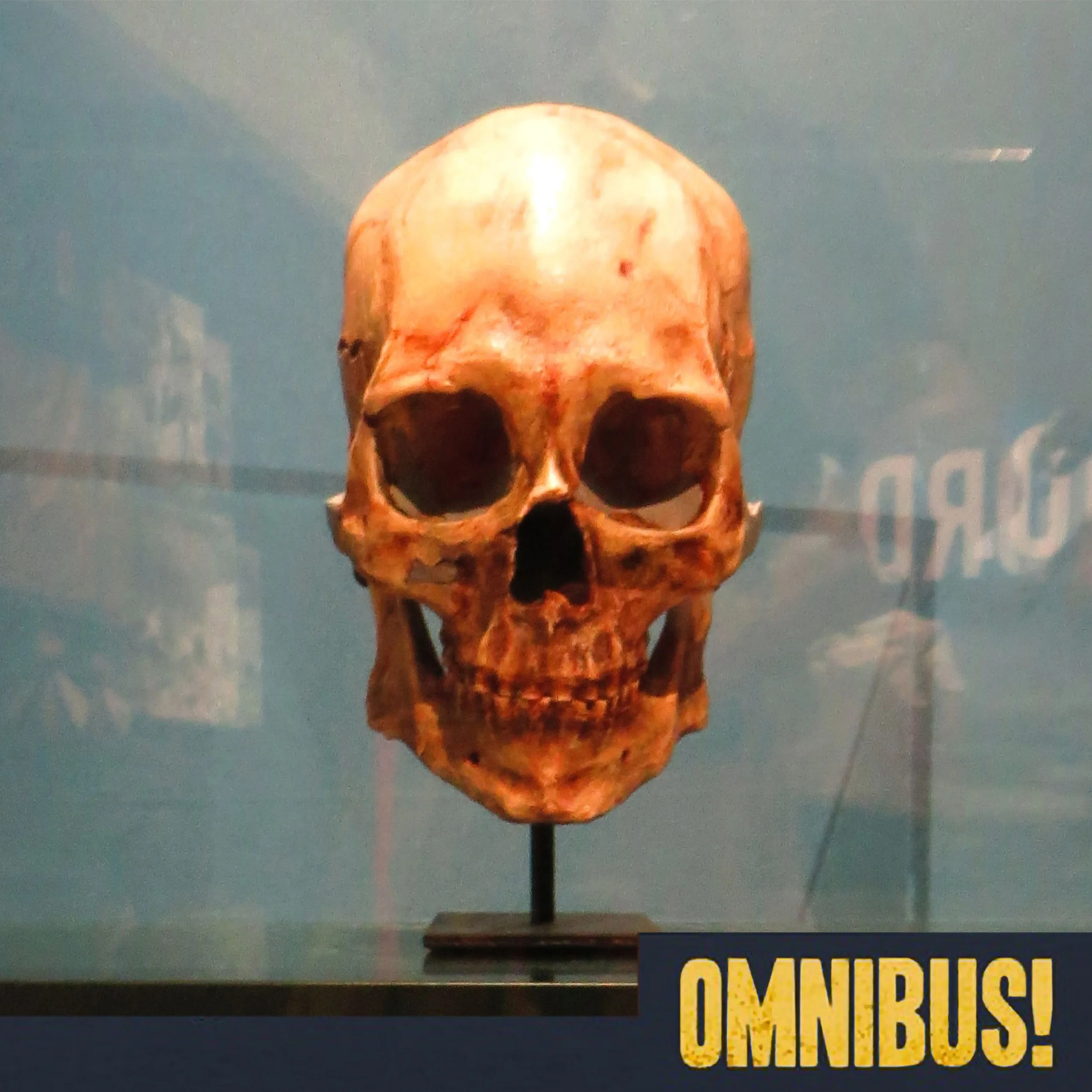 Kennewick Man (Entry 683.GN2304)