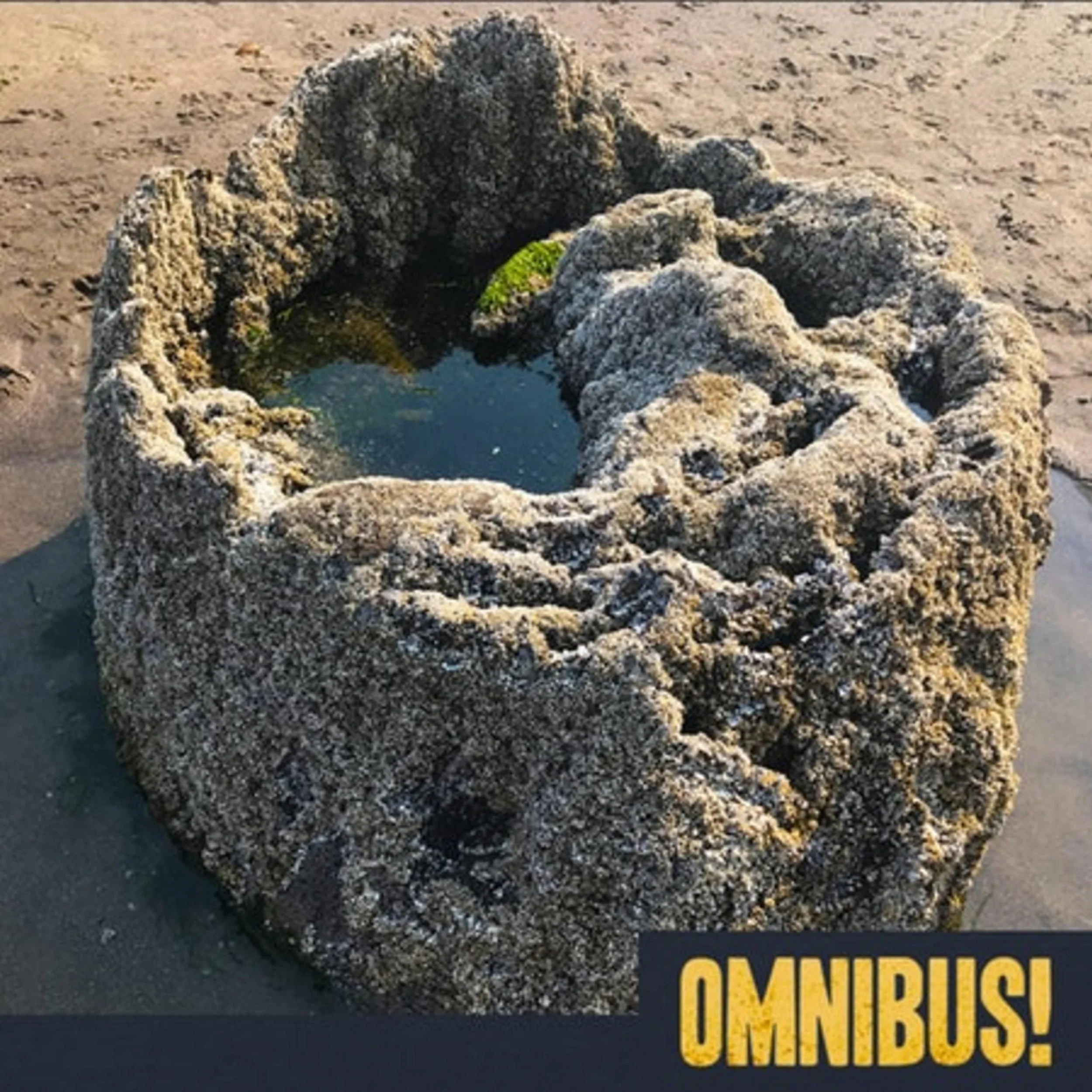 Ghost Forests (Entry 527.EZ1724)