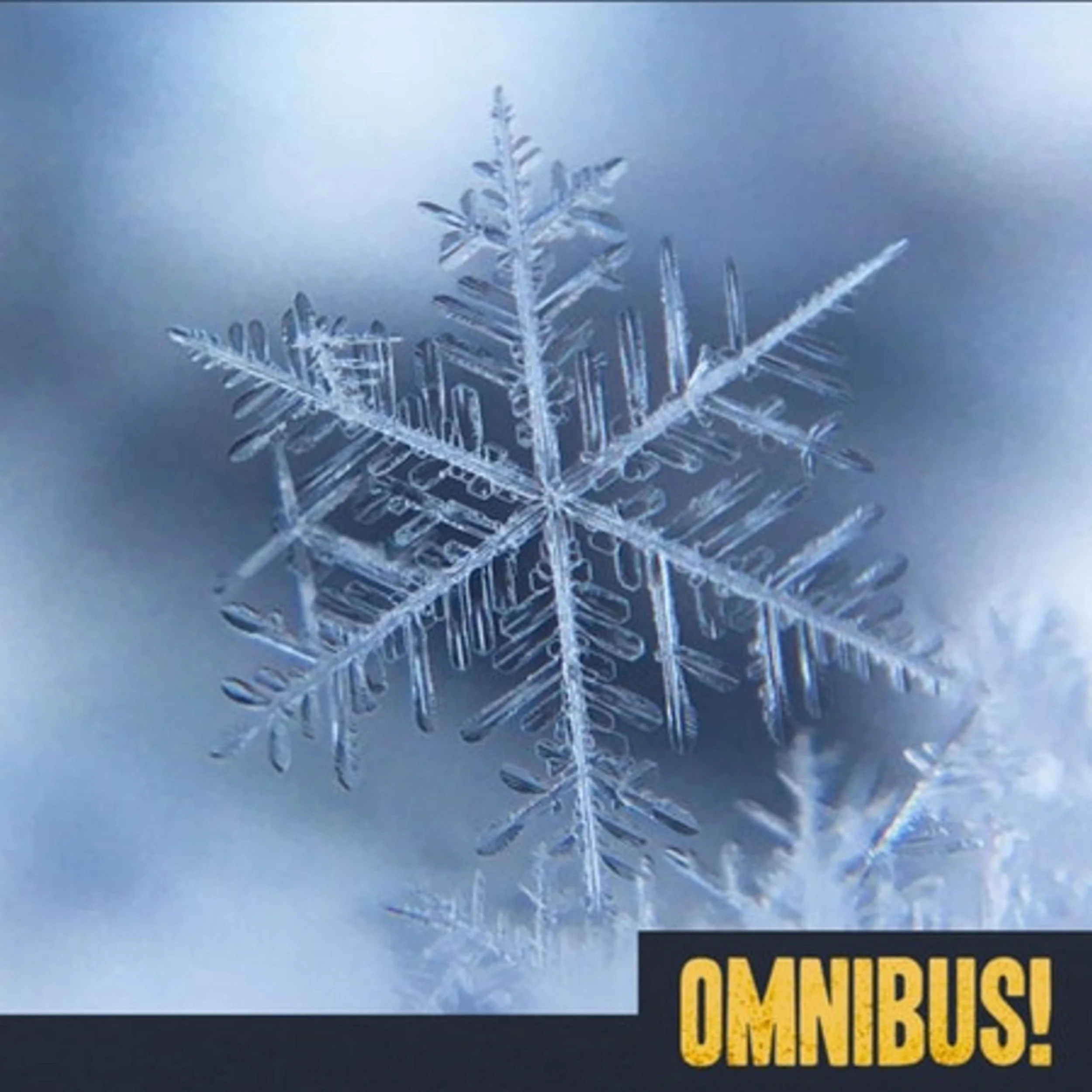 Snowflakes (Entry 1181.PS14716)