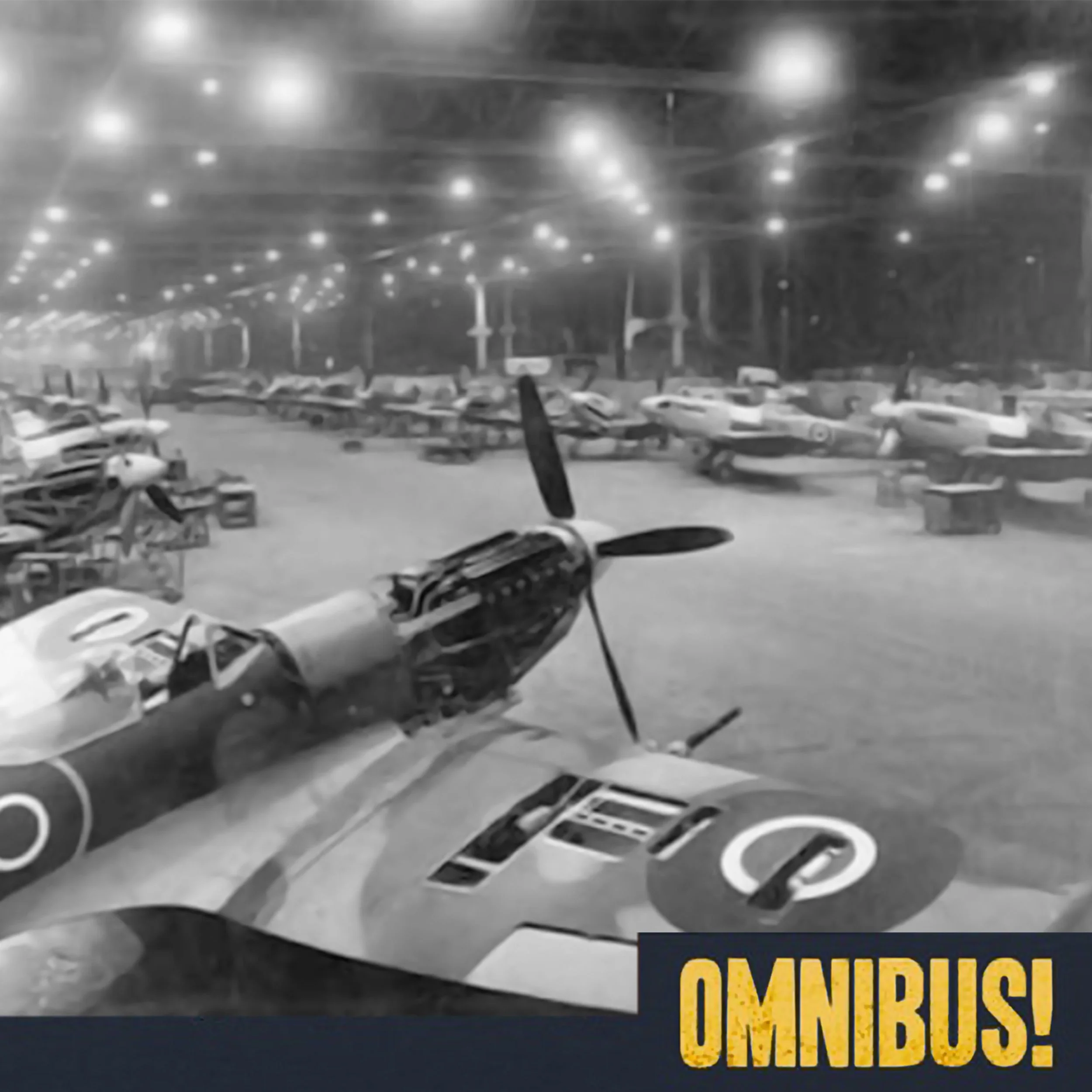 The Lost Spitfires of Burma (Entry 736.AC0219)