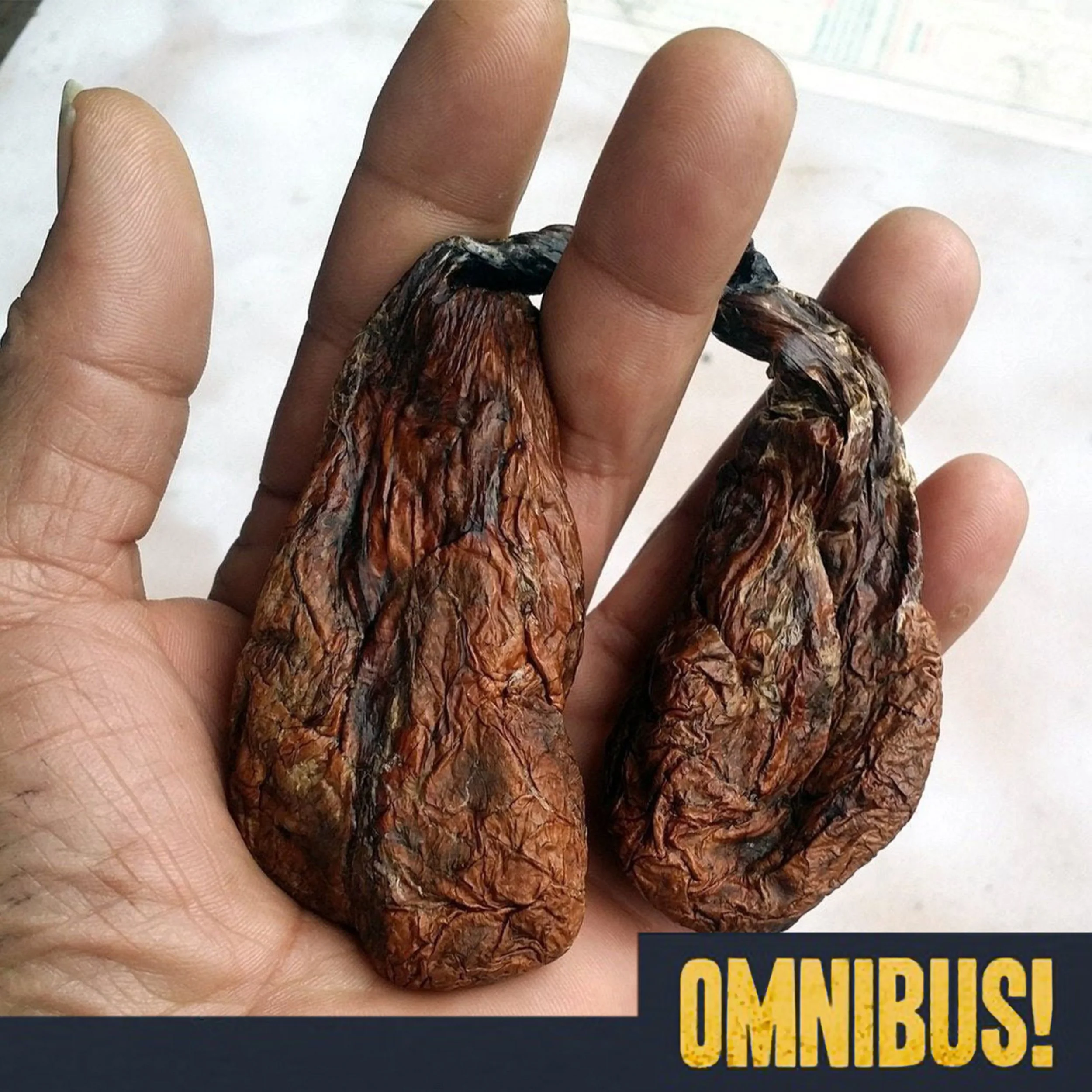 Beaver Castoreum (Entry 108.EX3035)