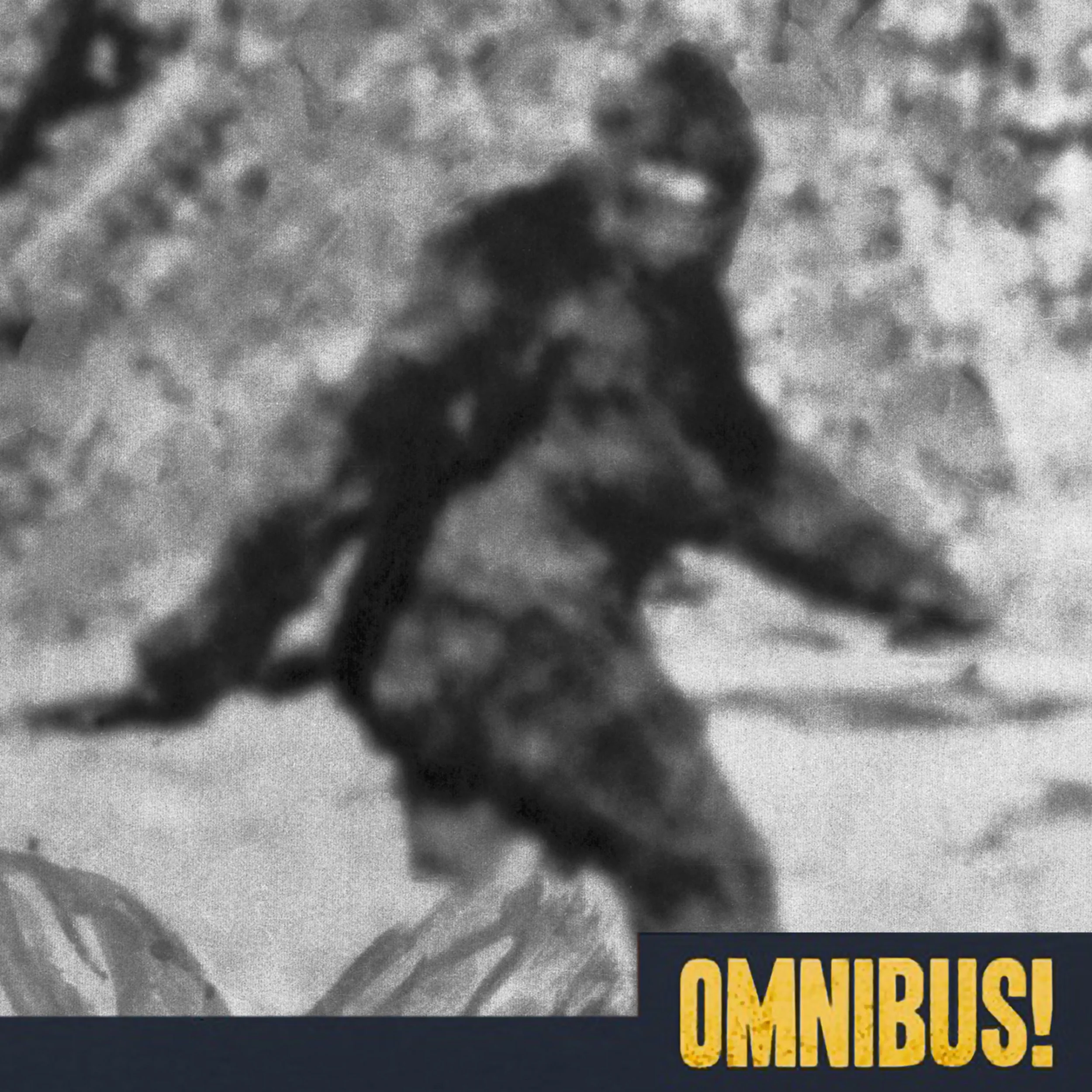 Bigfoot Hoaxers (Entry 120.2K0108)