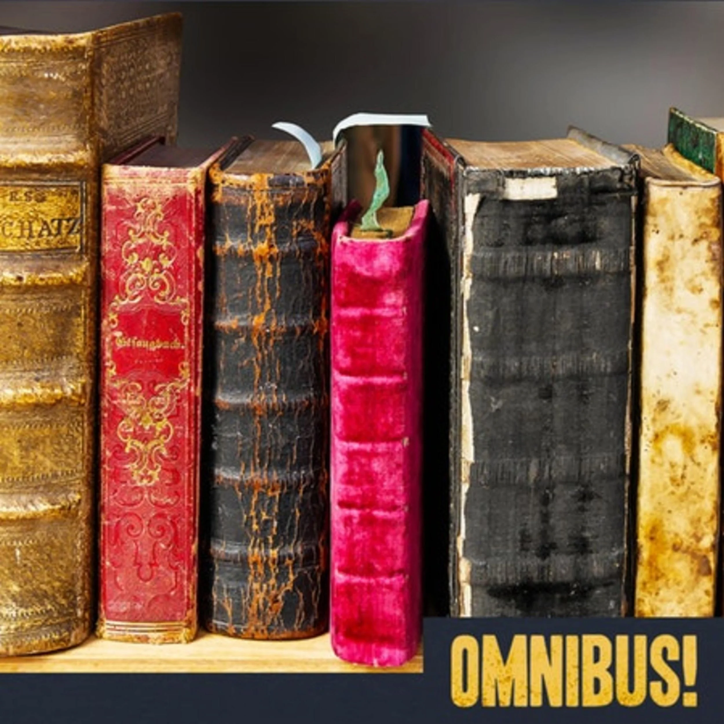 (LIVE) Extremely Overdue Library Books (Entry 445.2T0413)