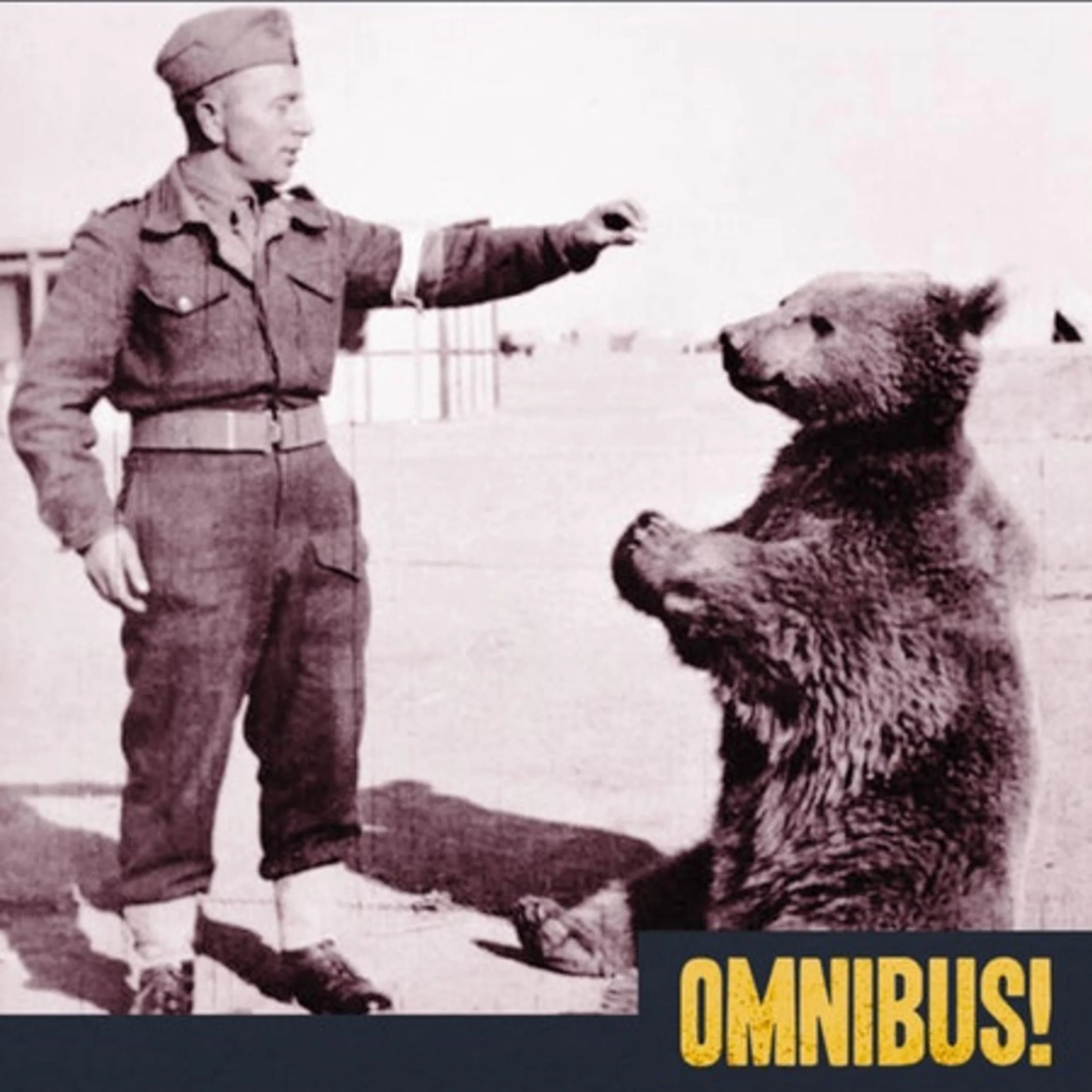 Private Wojtek the Bear (Entry 988.HO1308)