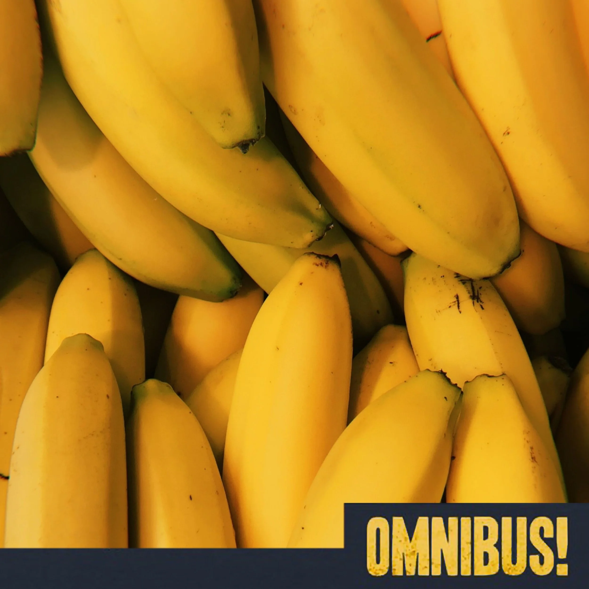 The Cavendish Banana (Entry 197.JU0112)