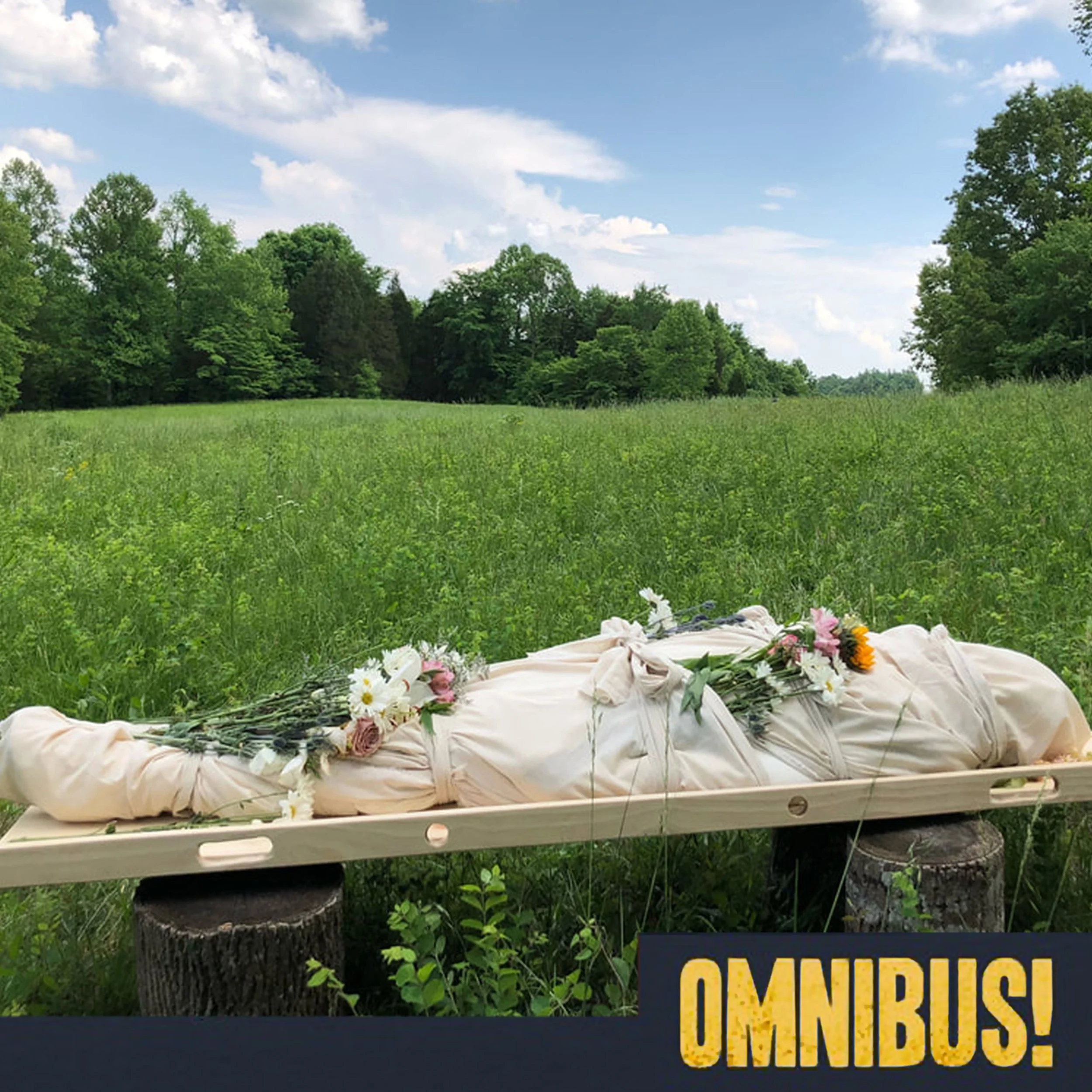 Green Funerals (Entry 549.1S3113)