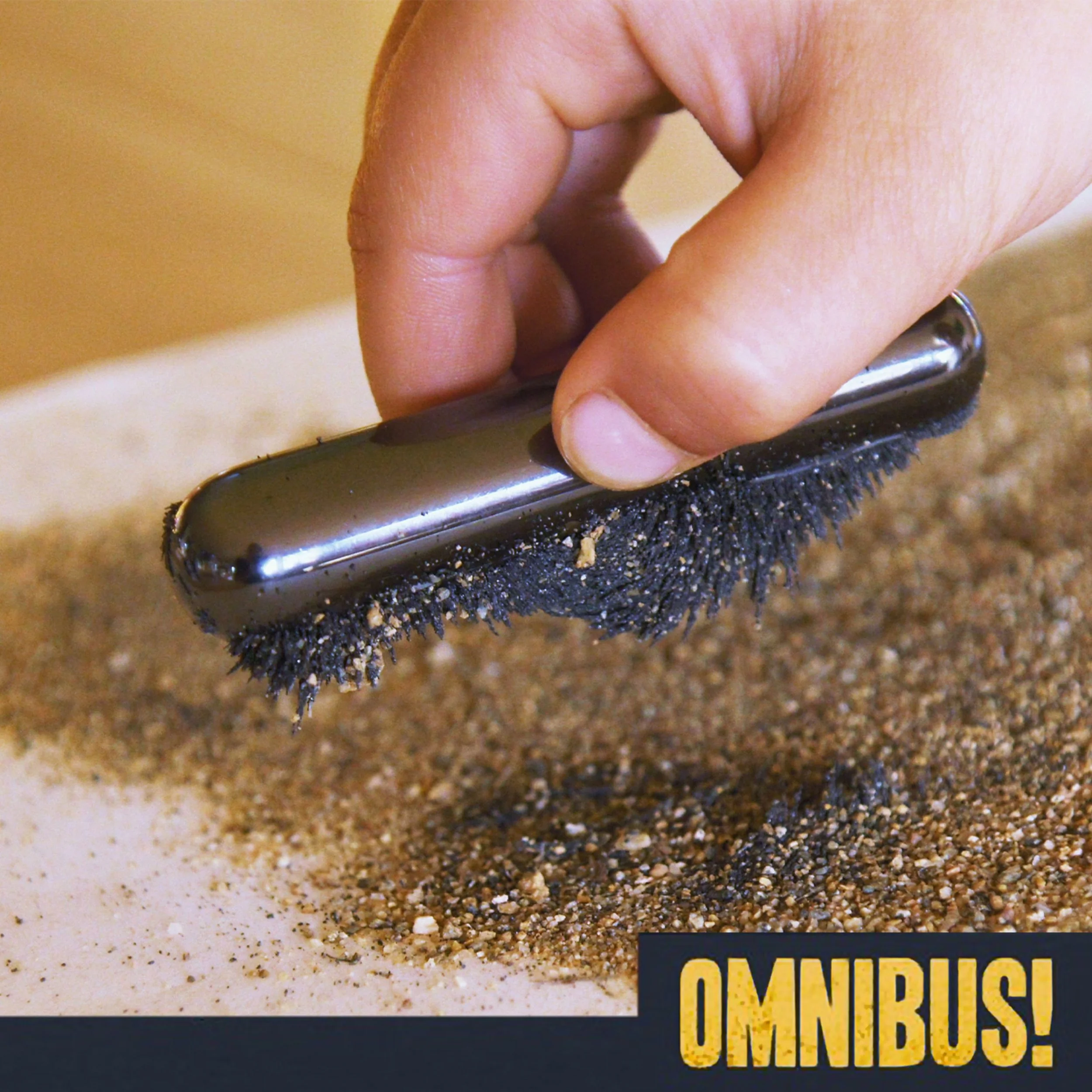 Cow Magnets (Entry 289.JL0118)