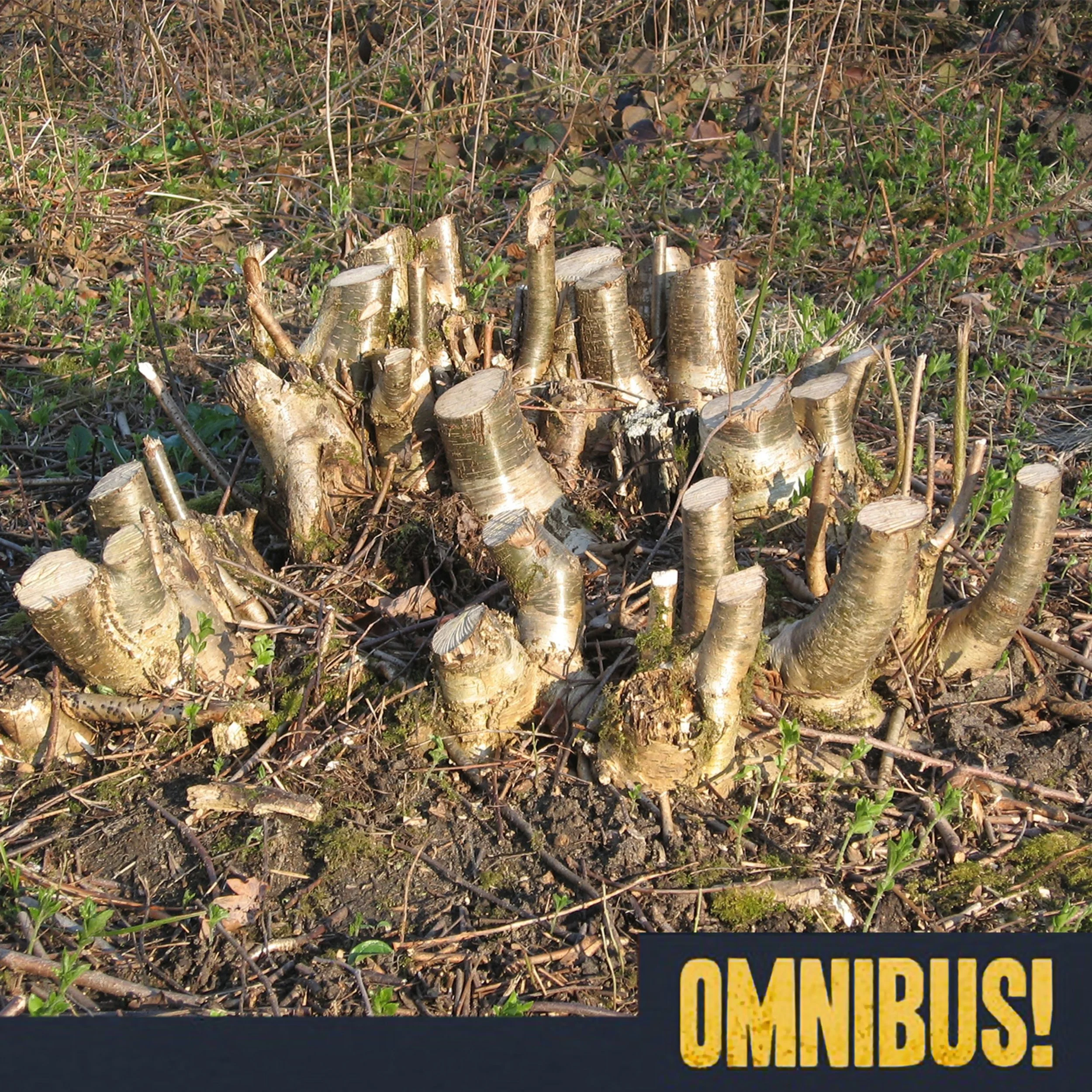 Coppicing (Entry 276.PS8015)