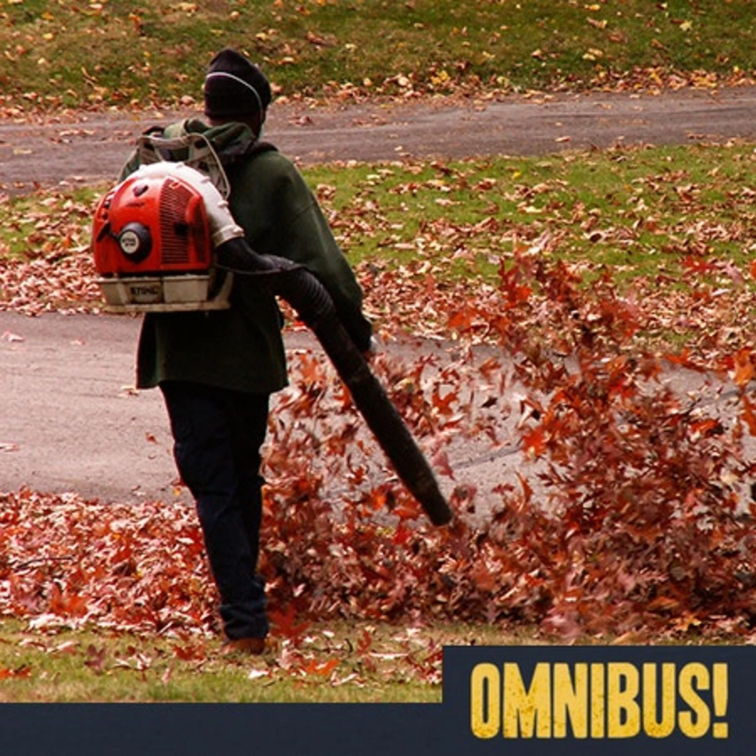 The Leafblower (Entry 707.DA0414)