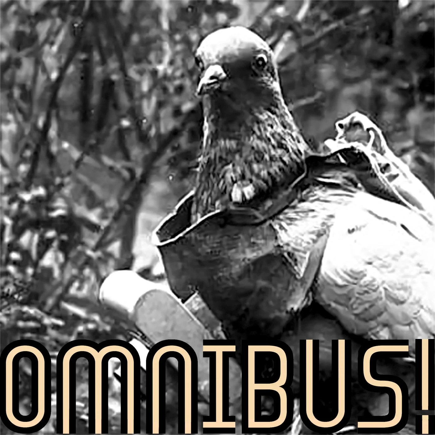 Operation Columba (Entry 869.GE0810)