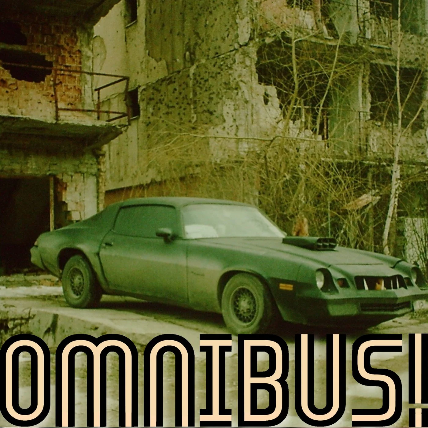 The Bosnian War Camaro (Entry 144.MA0718)