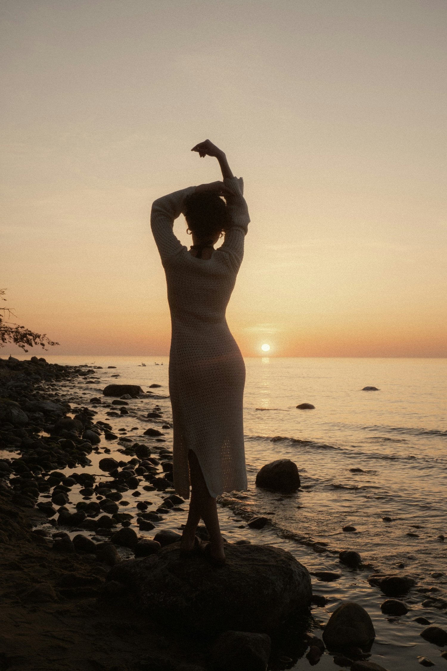Mindset Mastery private coaching program with Arzeen Asaria