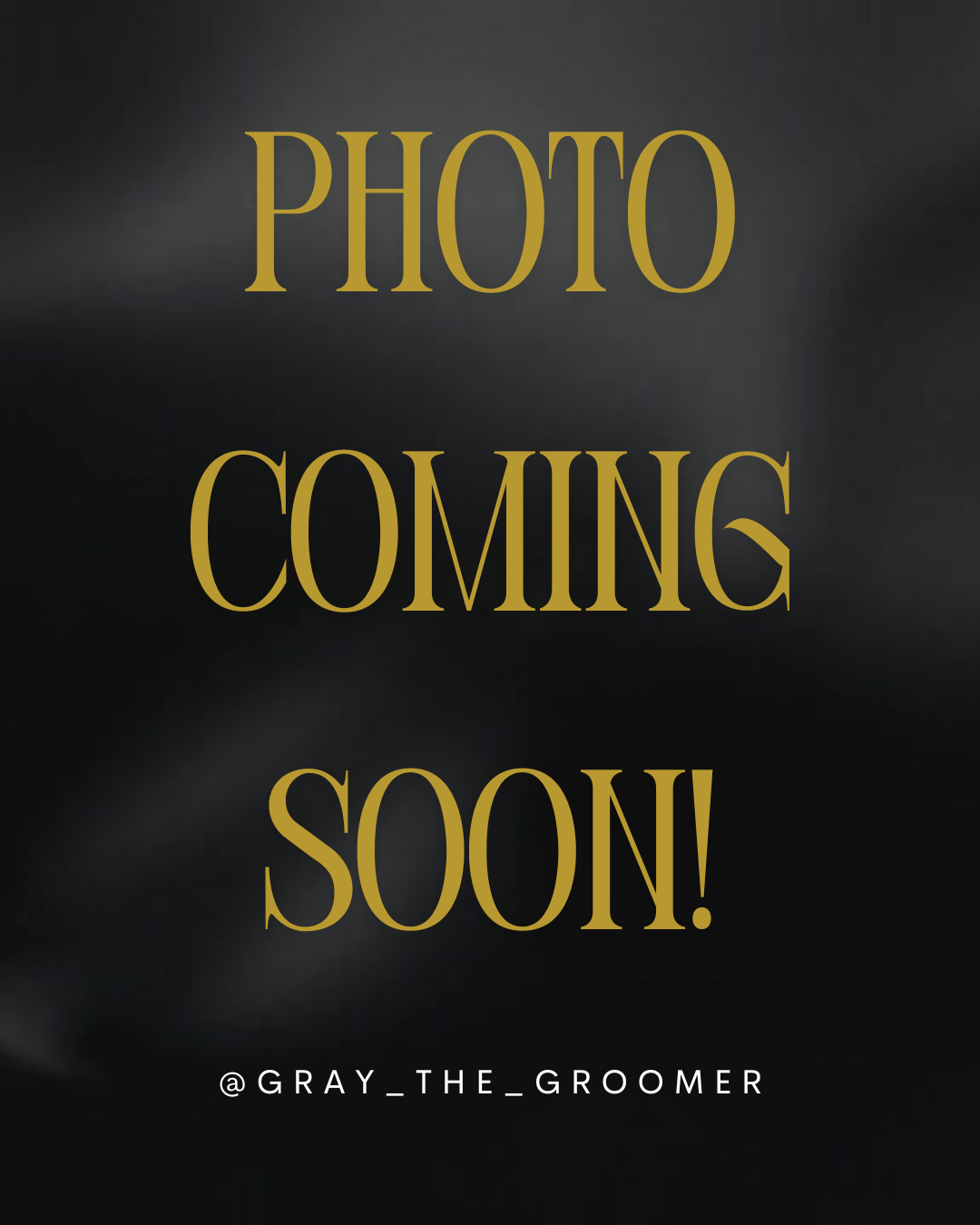 A dark background with gold text reading 'Photo Coming Soon!'.