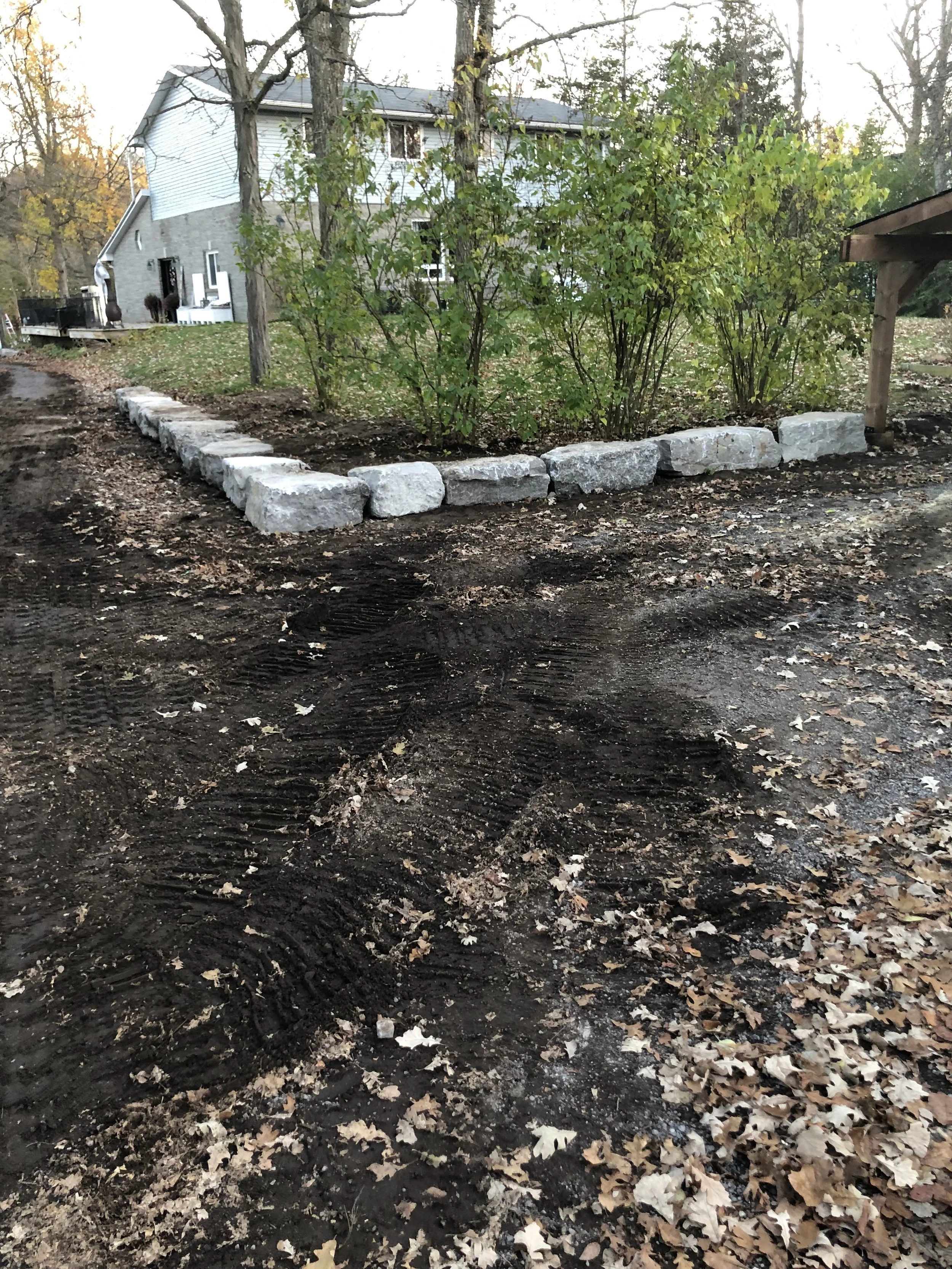A small outdoor space with a armour stone border around a shrub and dirt ground, with some fallen leaves.
